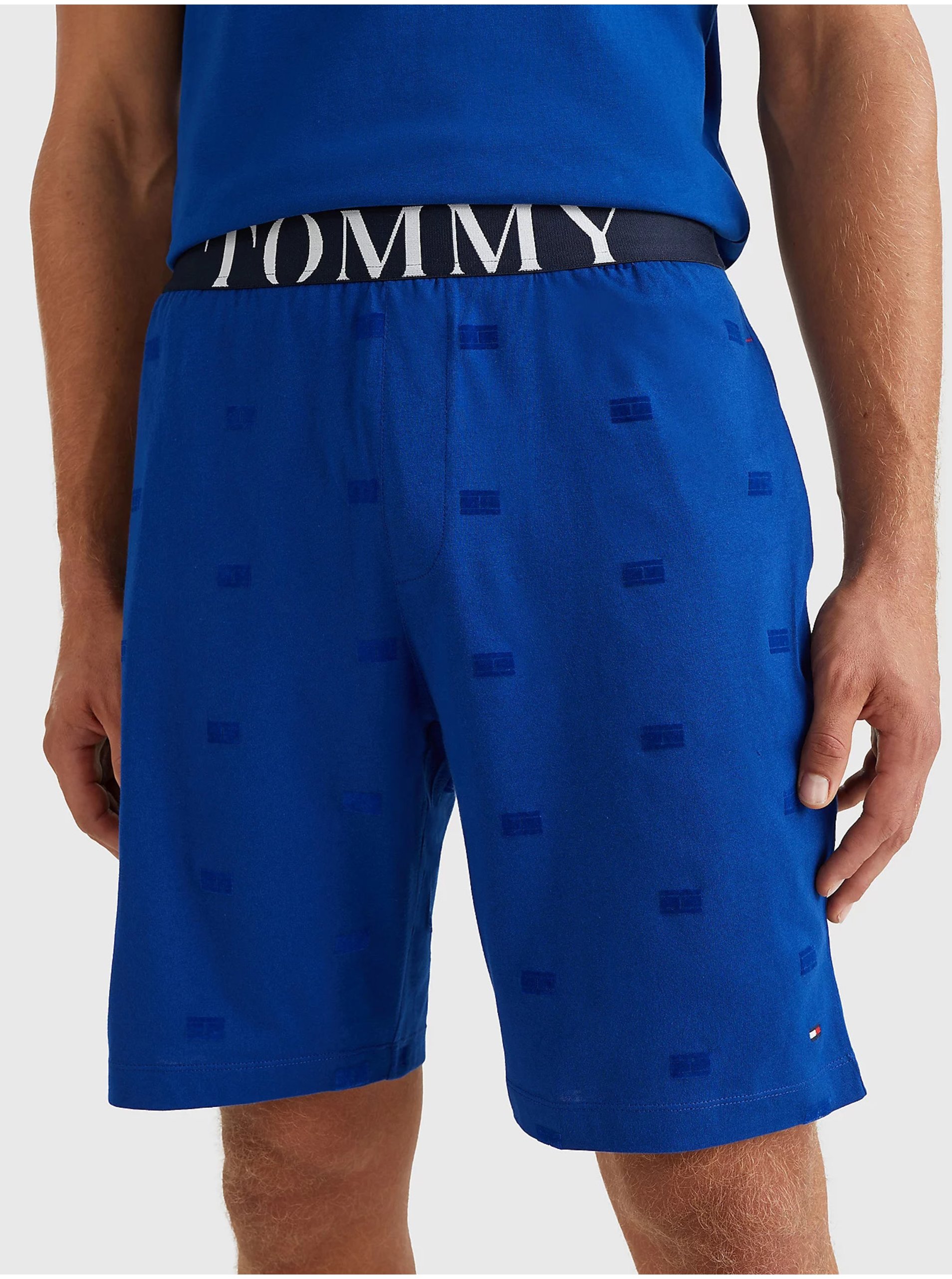 Men's shorts Tommy Hilfiger DP-3468589