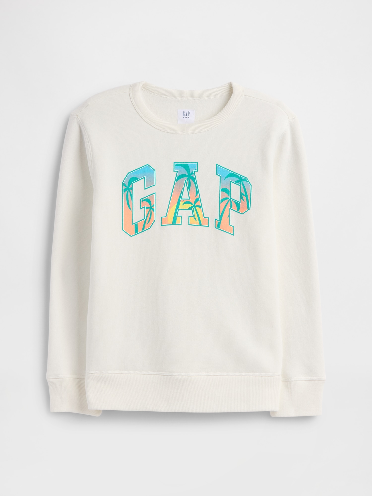 GAP Childrens Sweatshirt with Logo - Boys