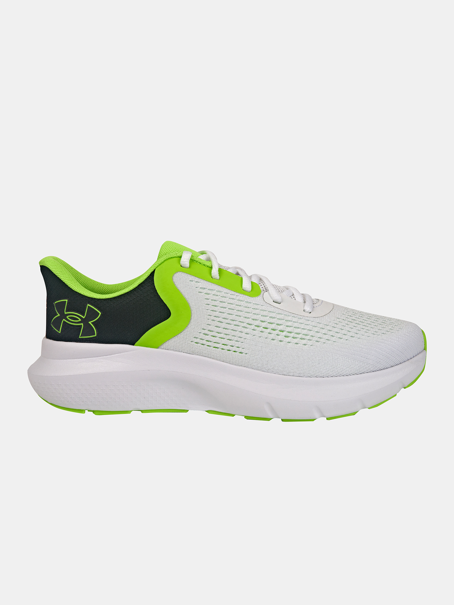 Mens shoes Under Armour UA Charged Rogue 5 - Mens