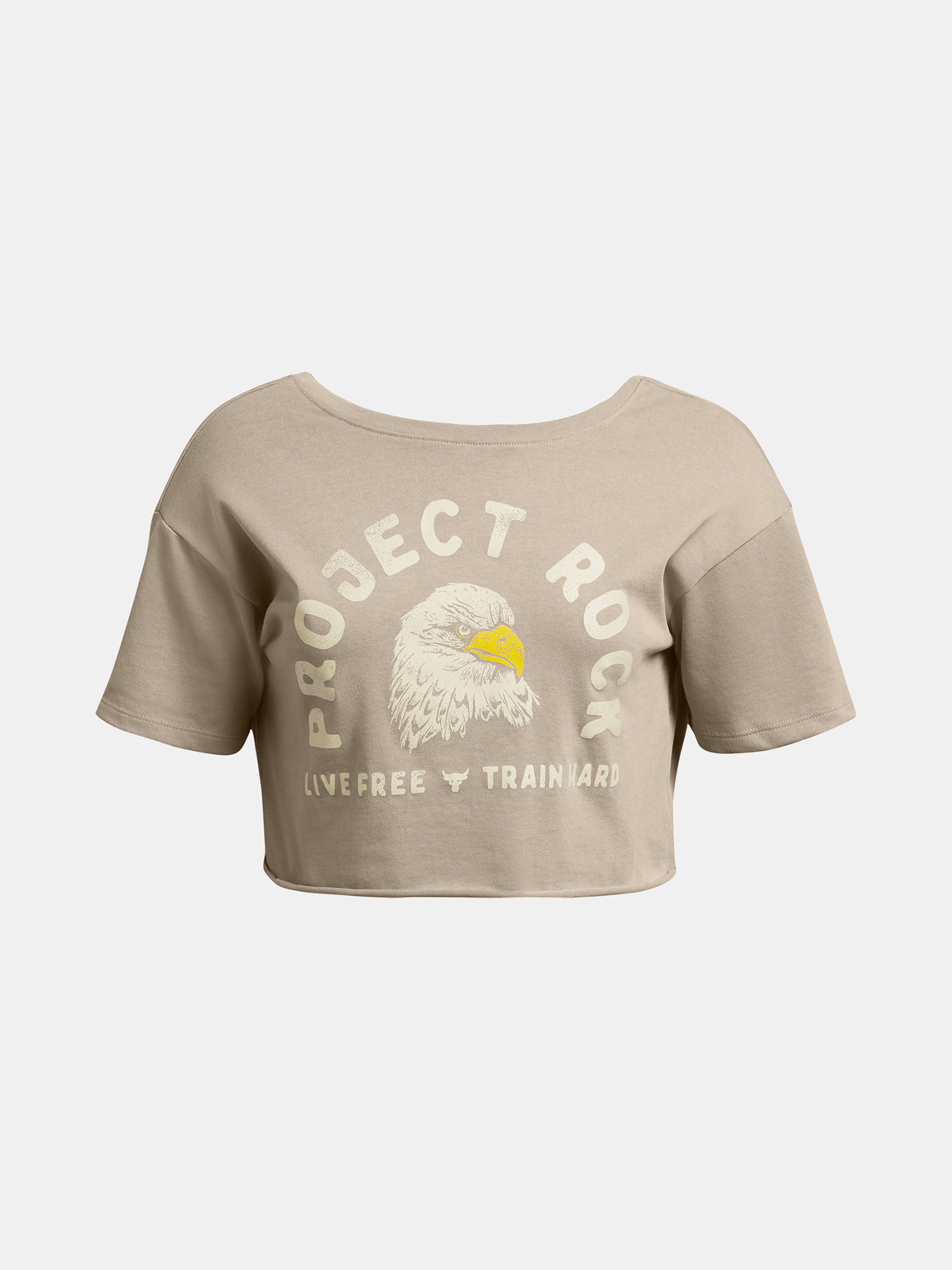 Under Armour T-shirt Pjt Rck Balance Graphic T-BRN - Women's