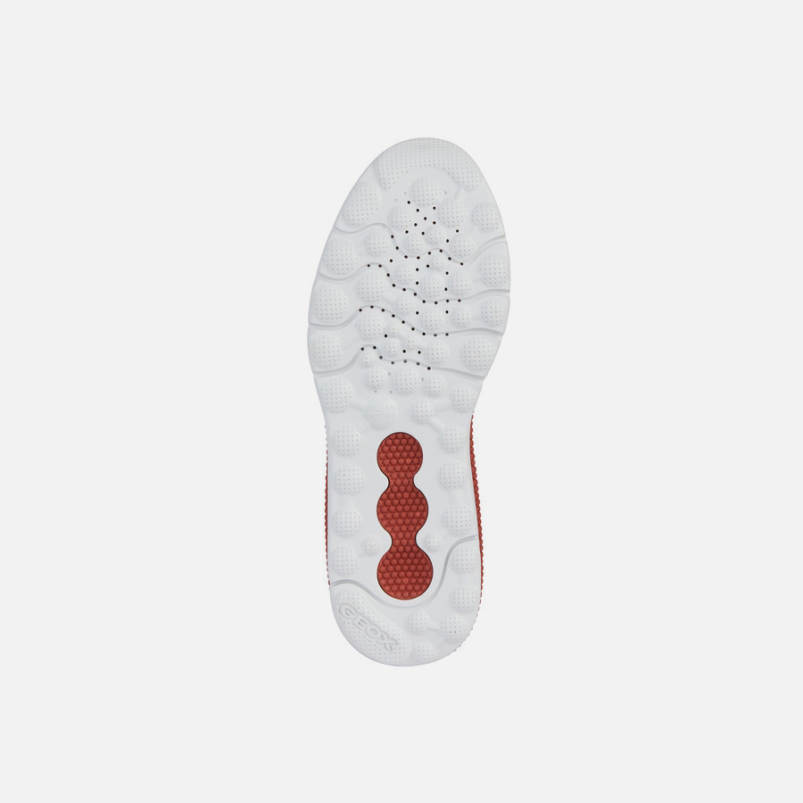 White men's sneakers Geox Spherica Actif A - Men's