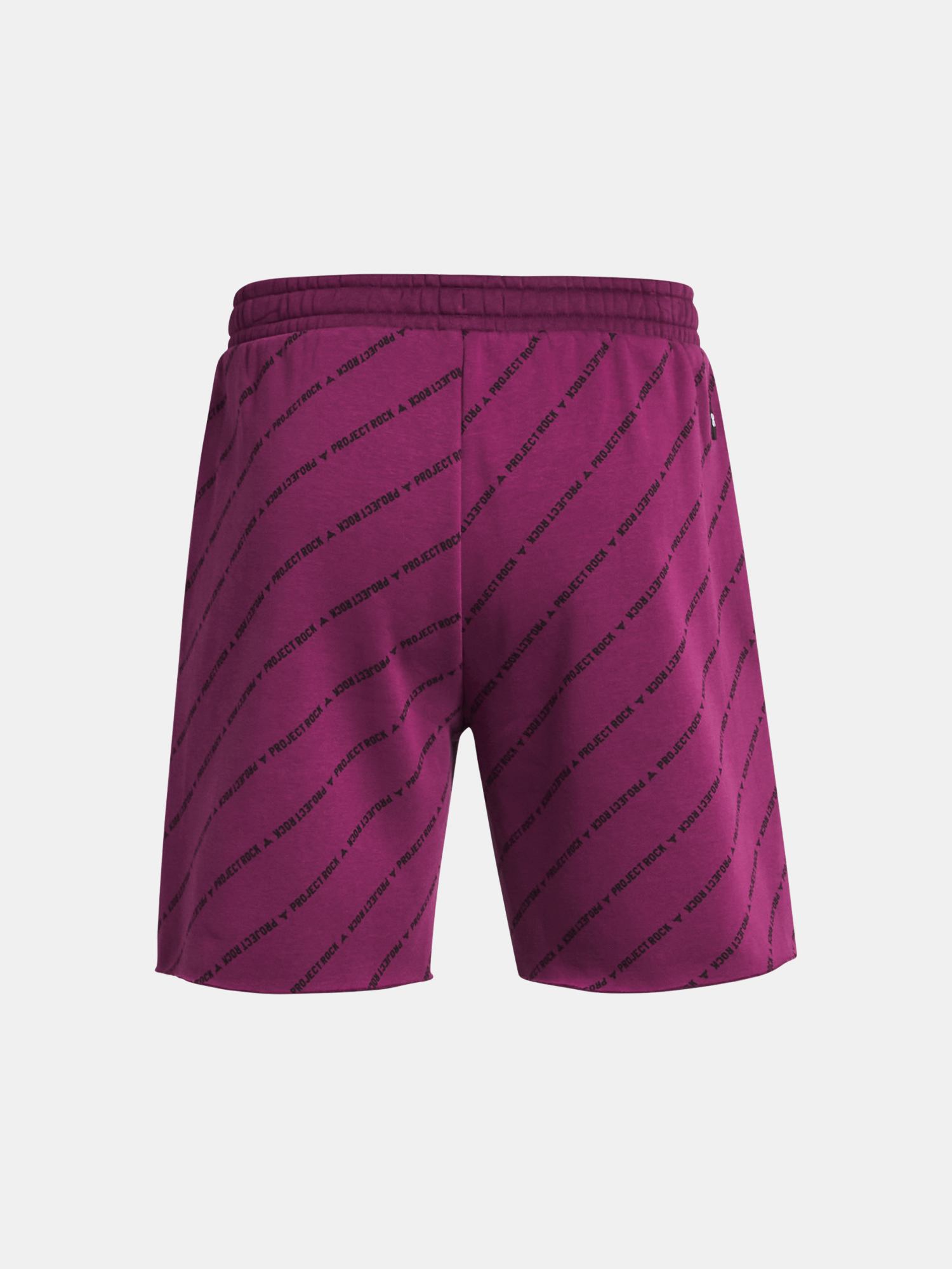 Under Armour Shorts Pjt Rck Icon Flc Short Pt BOH-PPL - Men