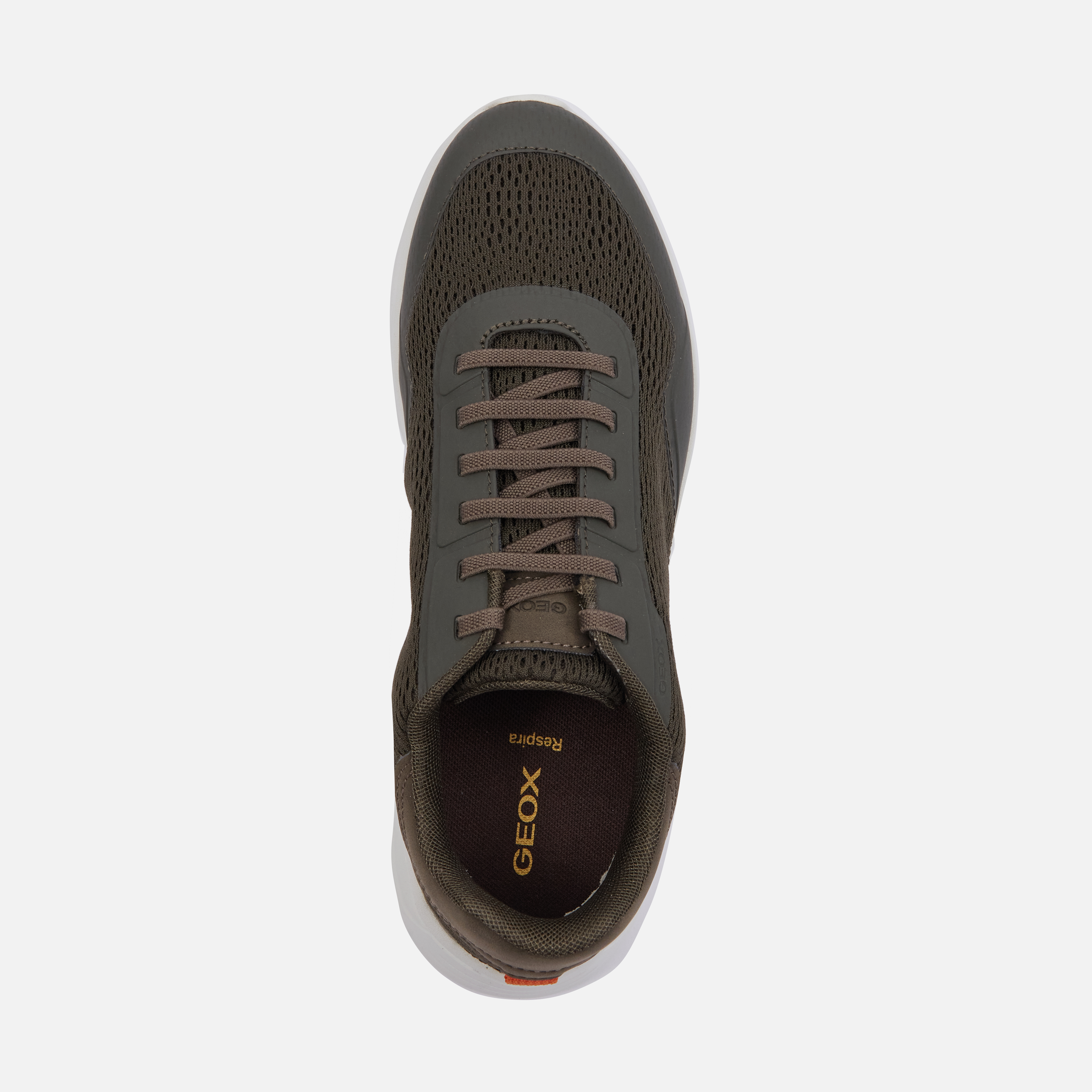 Khaki men's sneakers Geox Klaiver - Men's