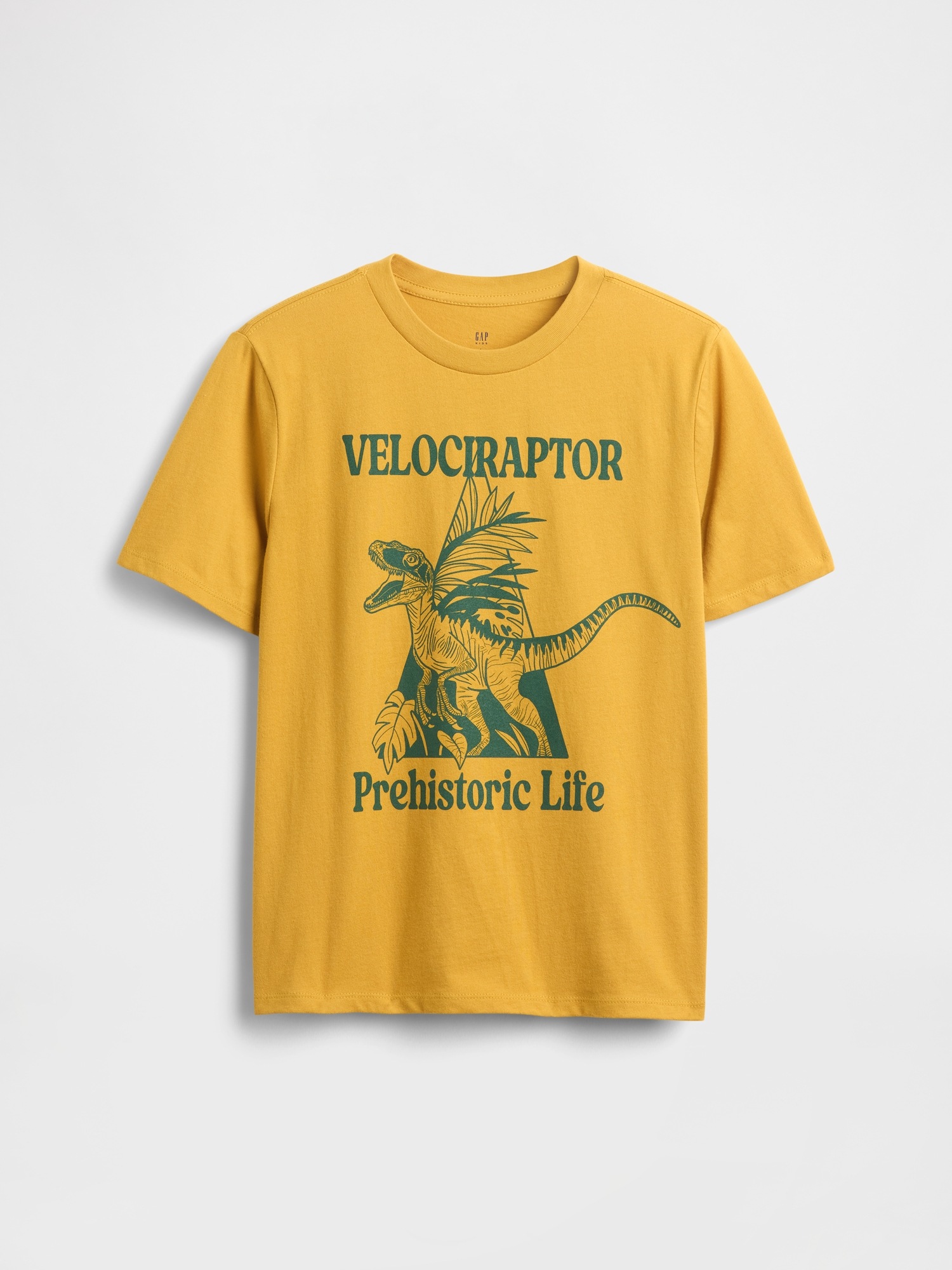 GAP Children's T-shirt - Boys