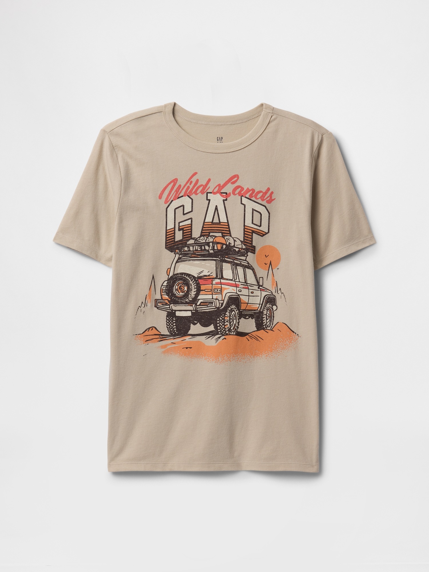 GAP Children's T-shirt - Boys