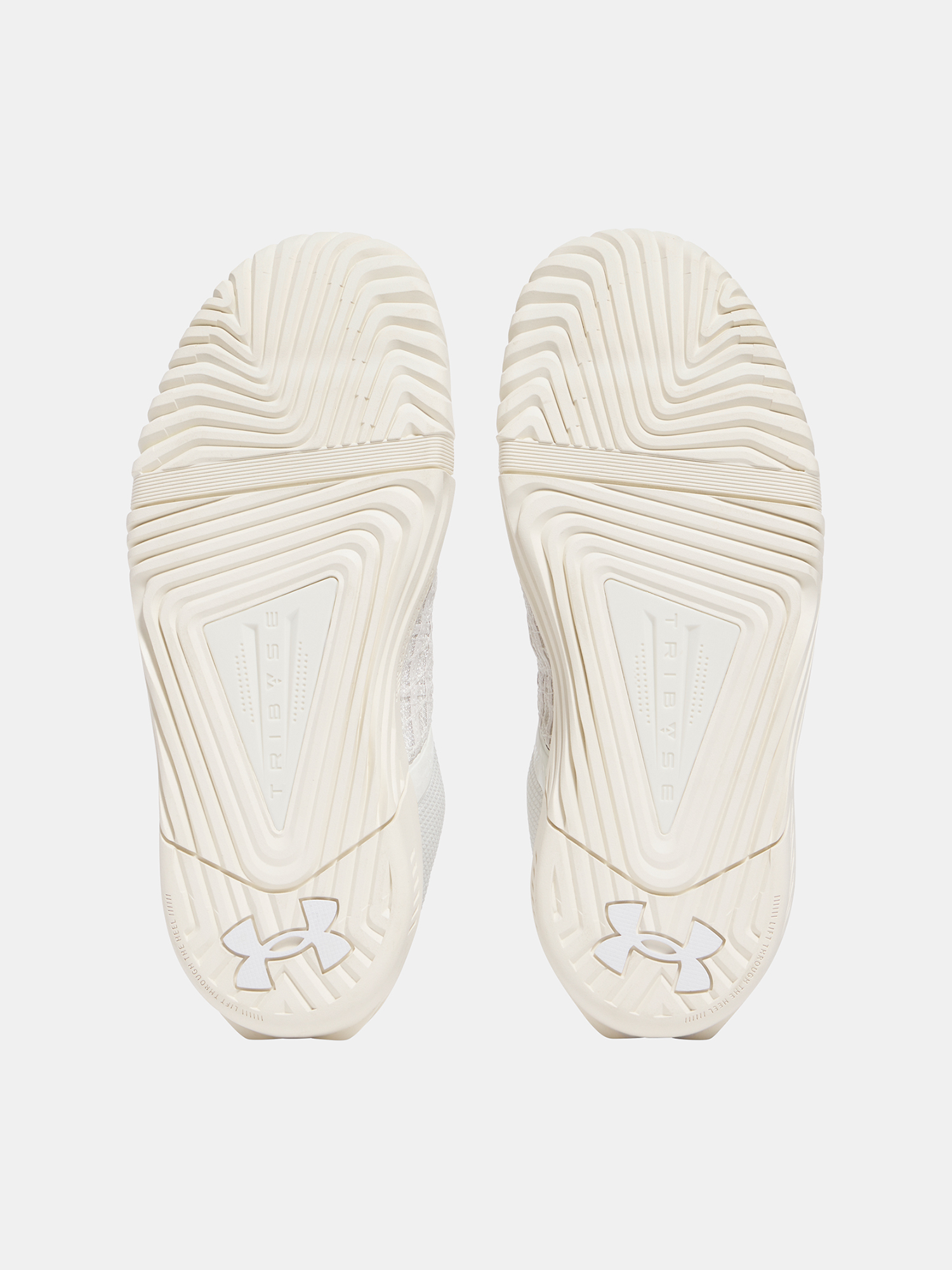 Women's shoes Under Armour UA W TriBase Reign 6 - Women's