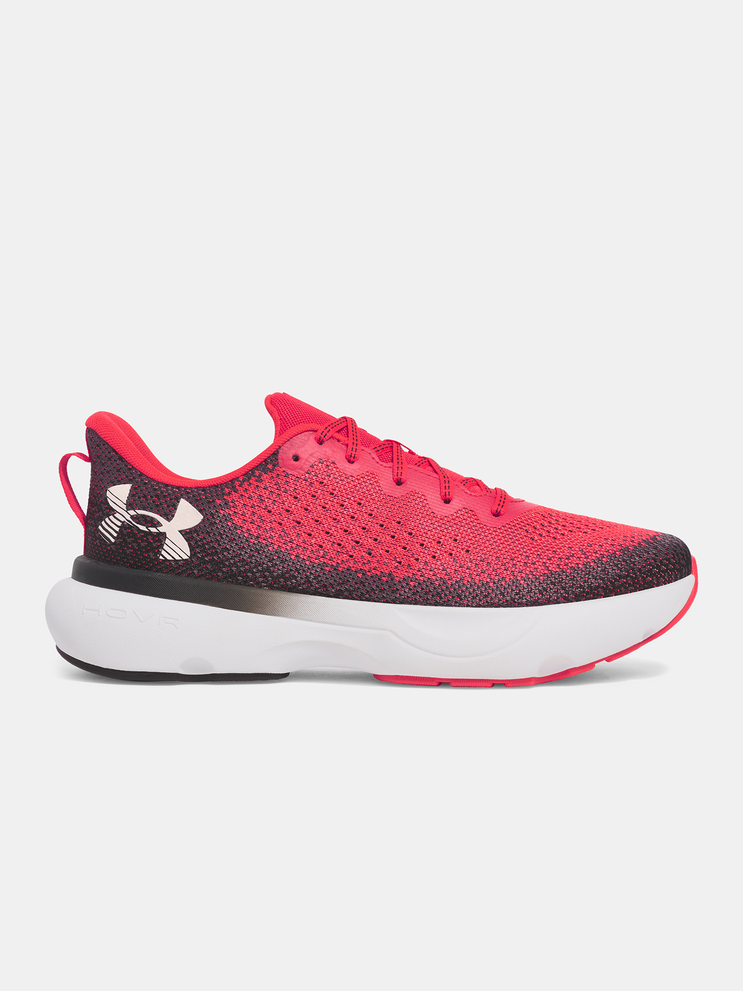Men's shoes Under Armour UA Infinite - Men's