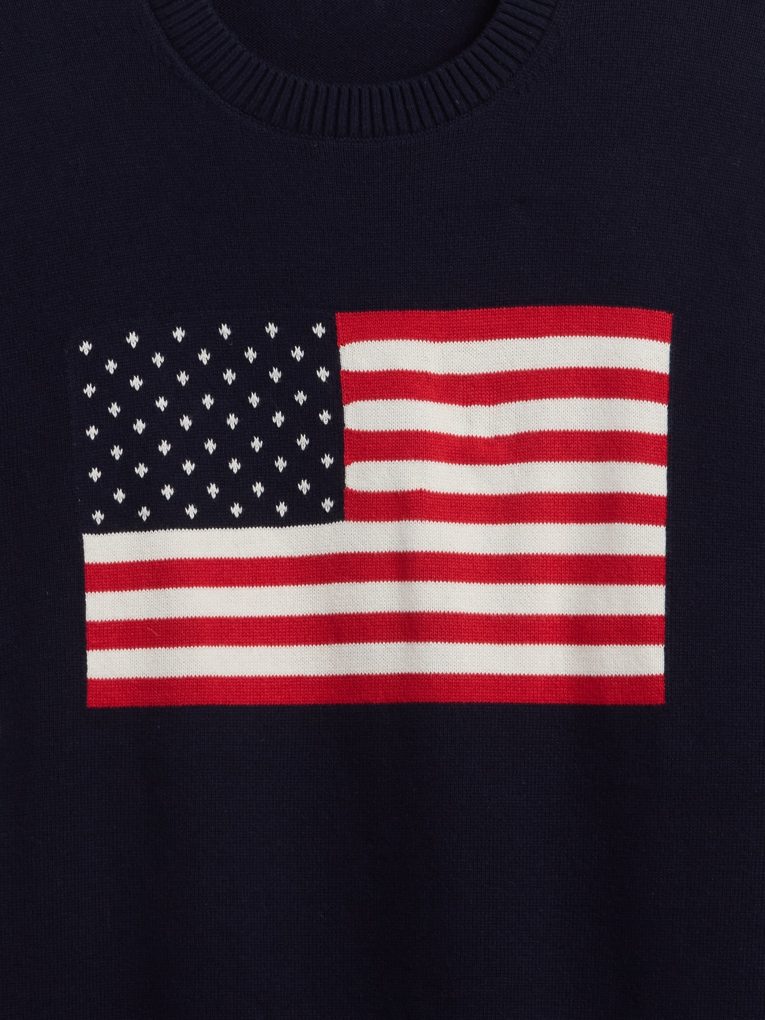GAP Americana Sweater - Men's