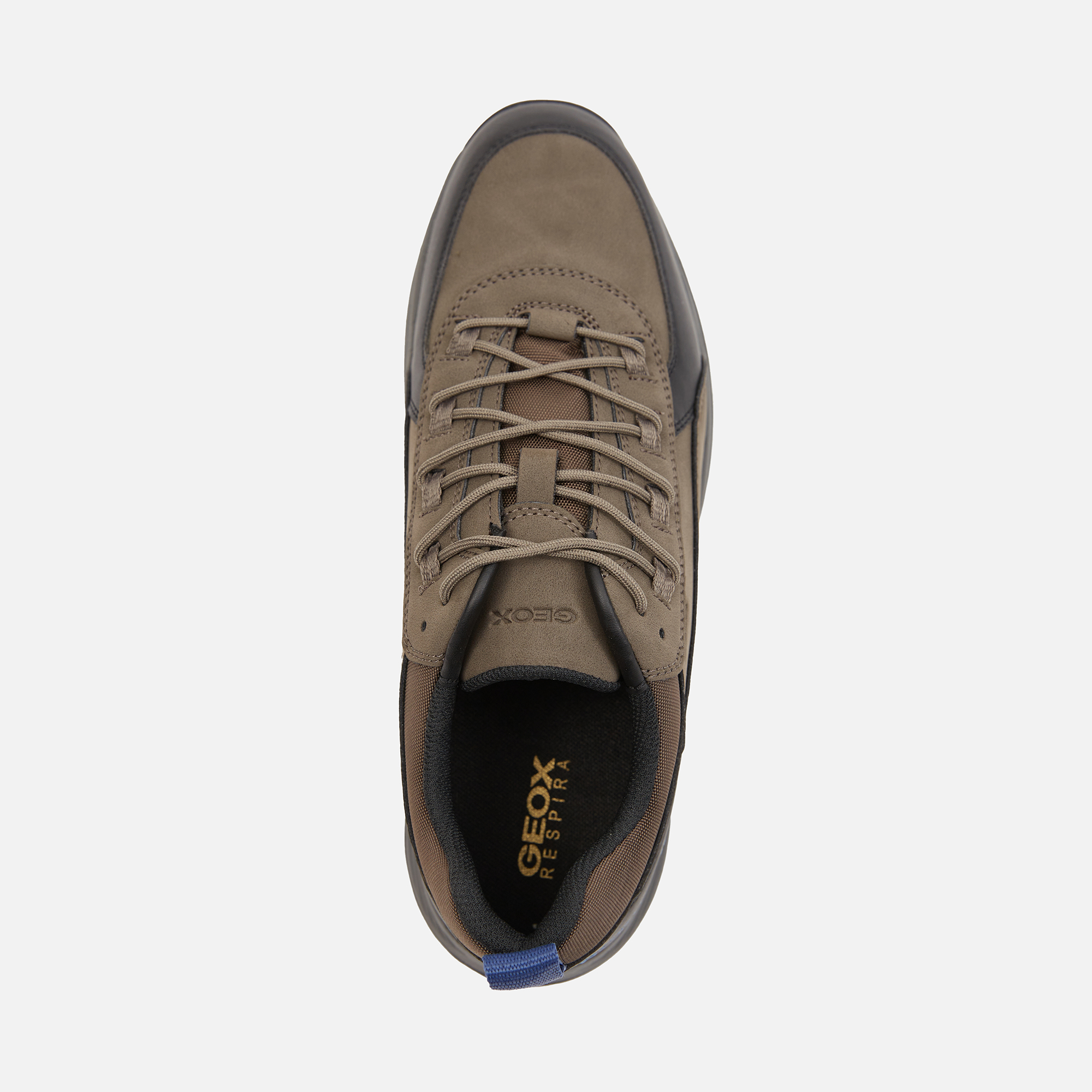 Brown men's sneakers Geox Terrestre - Men's