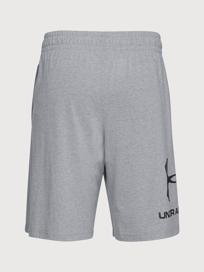 Grey Sportstyle Under Armour Men's Shorts