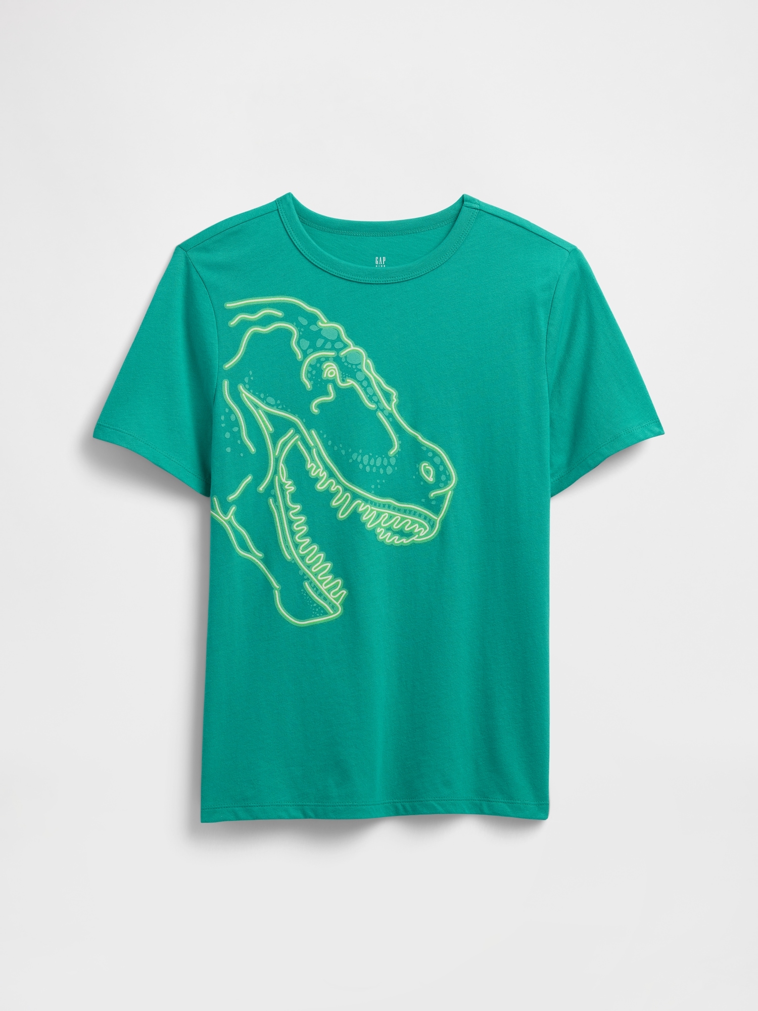 GAP Childrens T-shirt - Boys