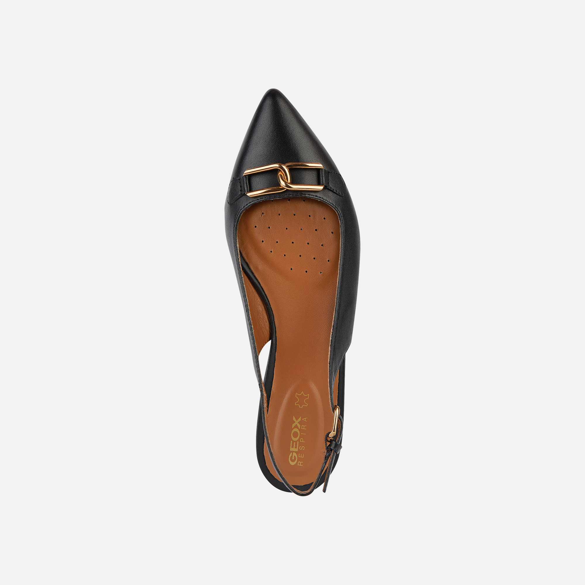 Black women's ballet flats Geox Charyssa - Women's