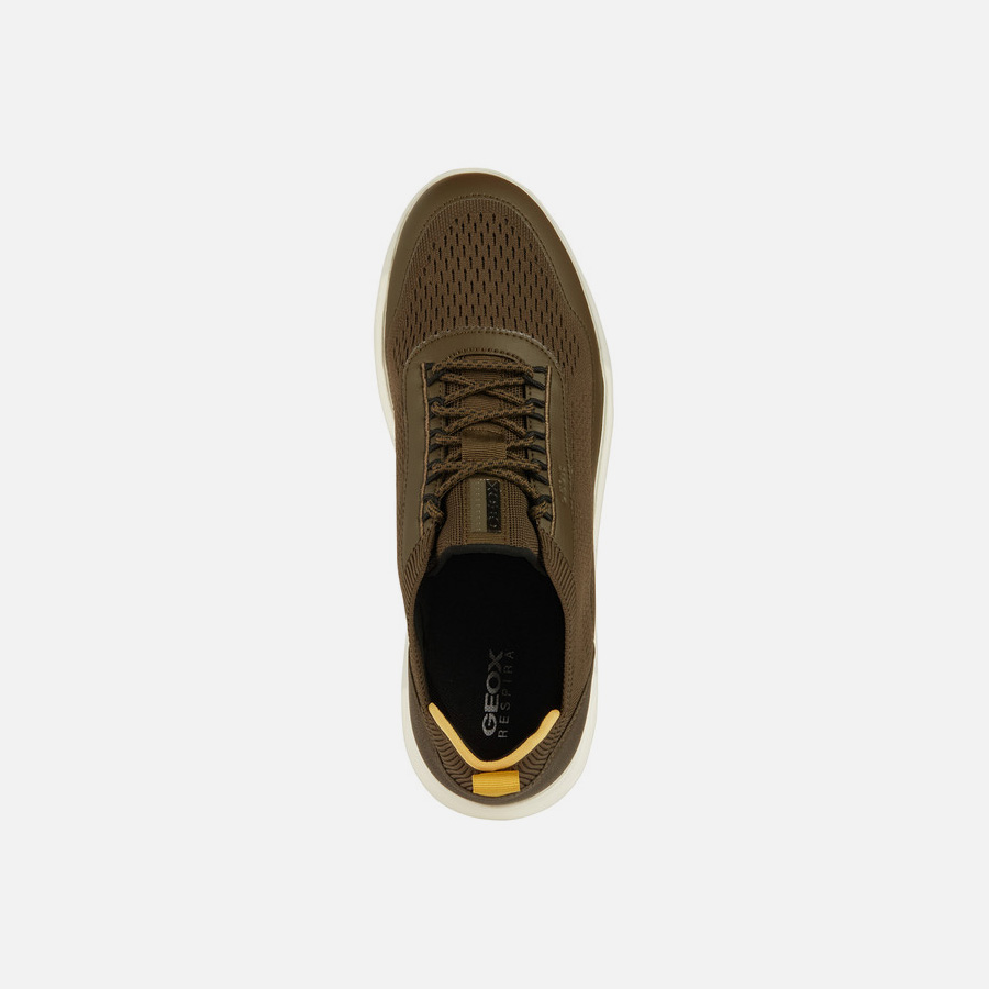 Olive men's sneakers Geox Spherica - Men
