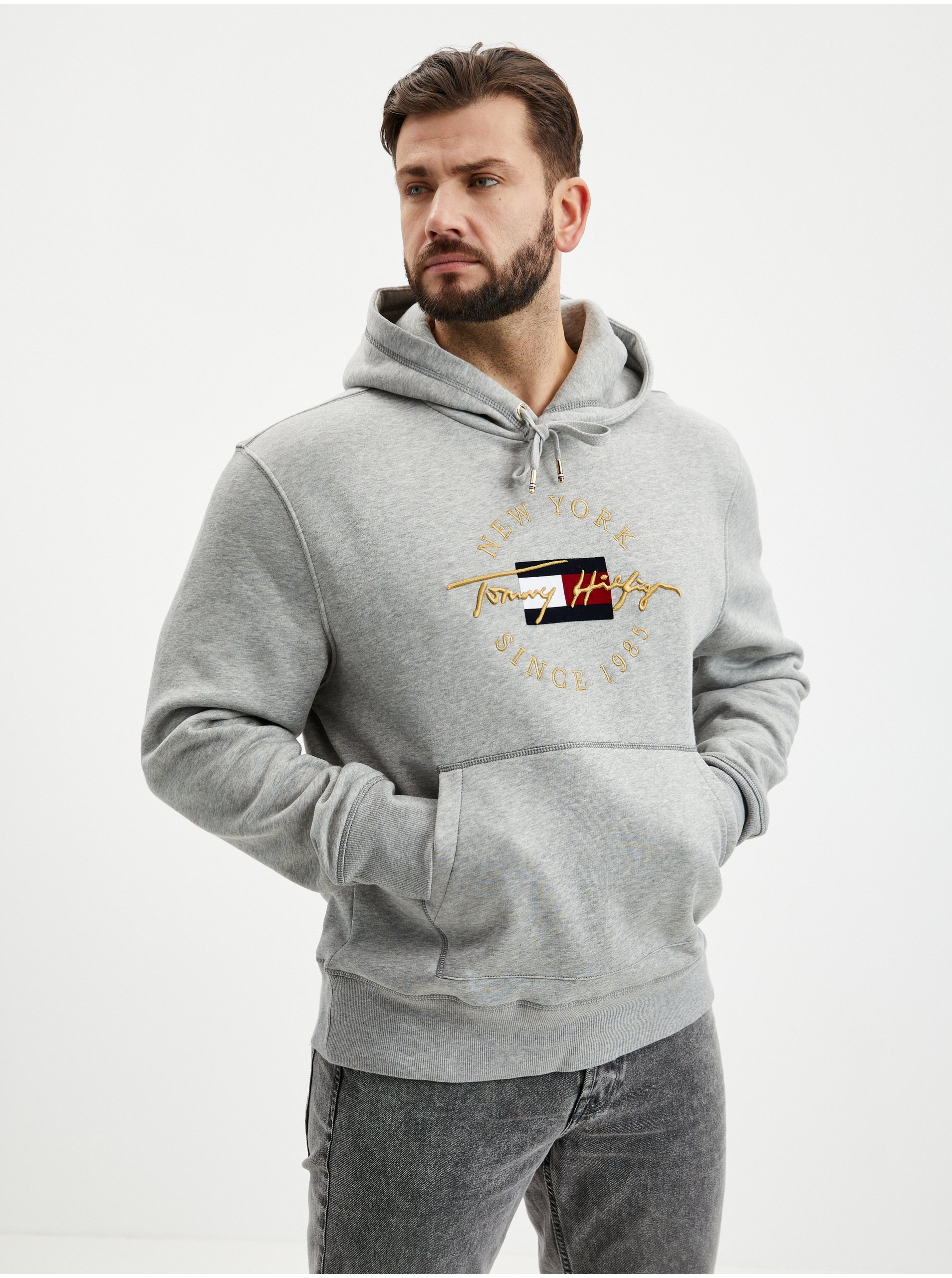 Men's hoodie Tommy Hilfiger DP-2972474
