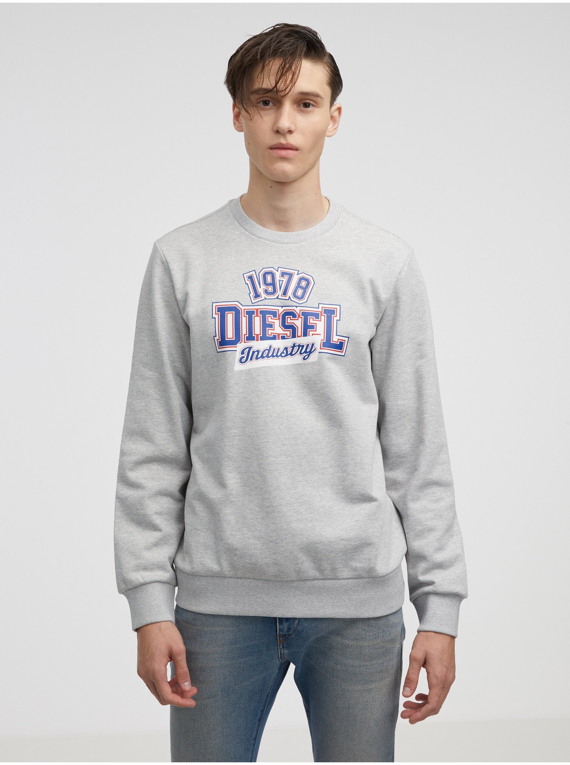 Men's Grey Diesel Sweatshirt - Men's