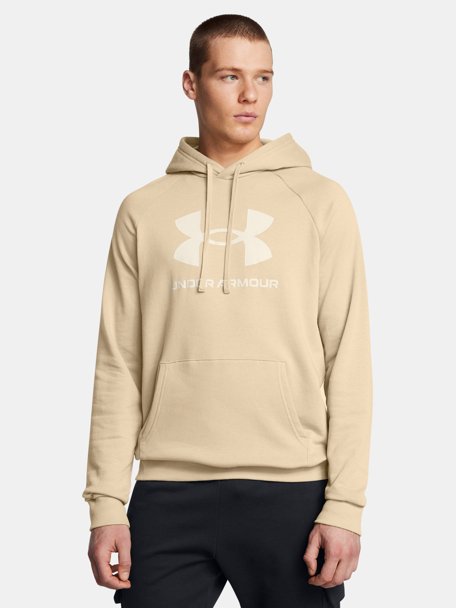 Men's sweatshirt Under Armour UA Rival Fleece Logo HD - Men's
