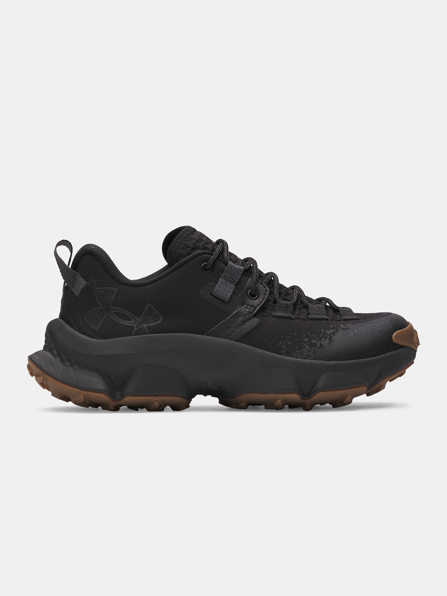 Under Armour dámska obuv UA W Charged Expanse Low WP