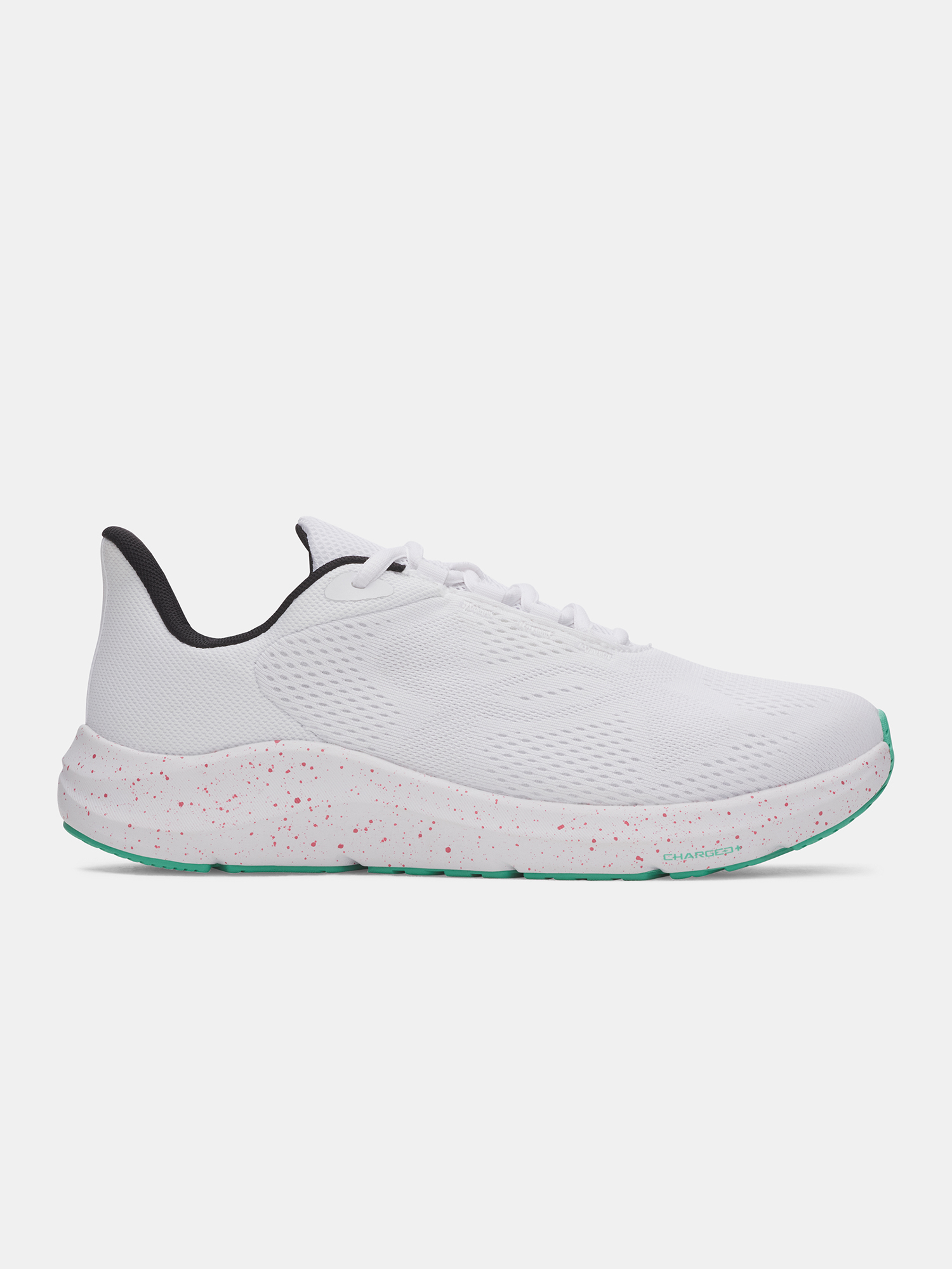 Мъжки обувки Under Armour UA Charged Pursuit 4 BL