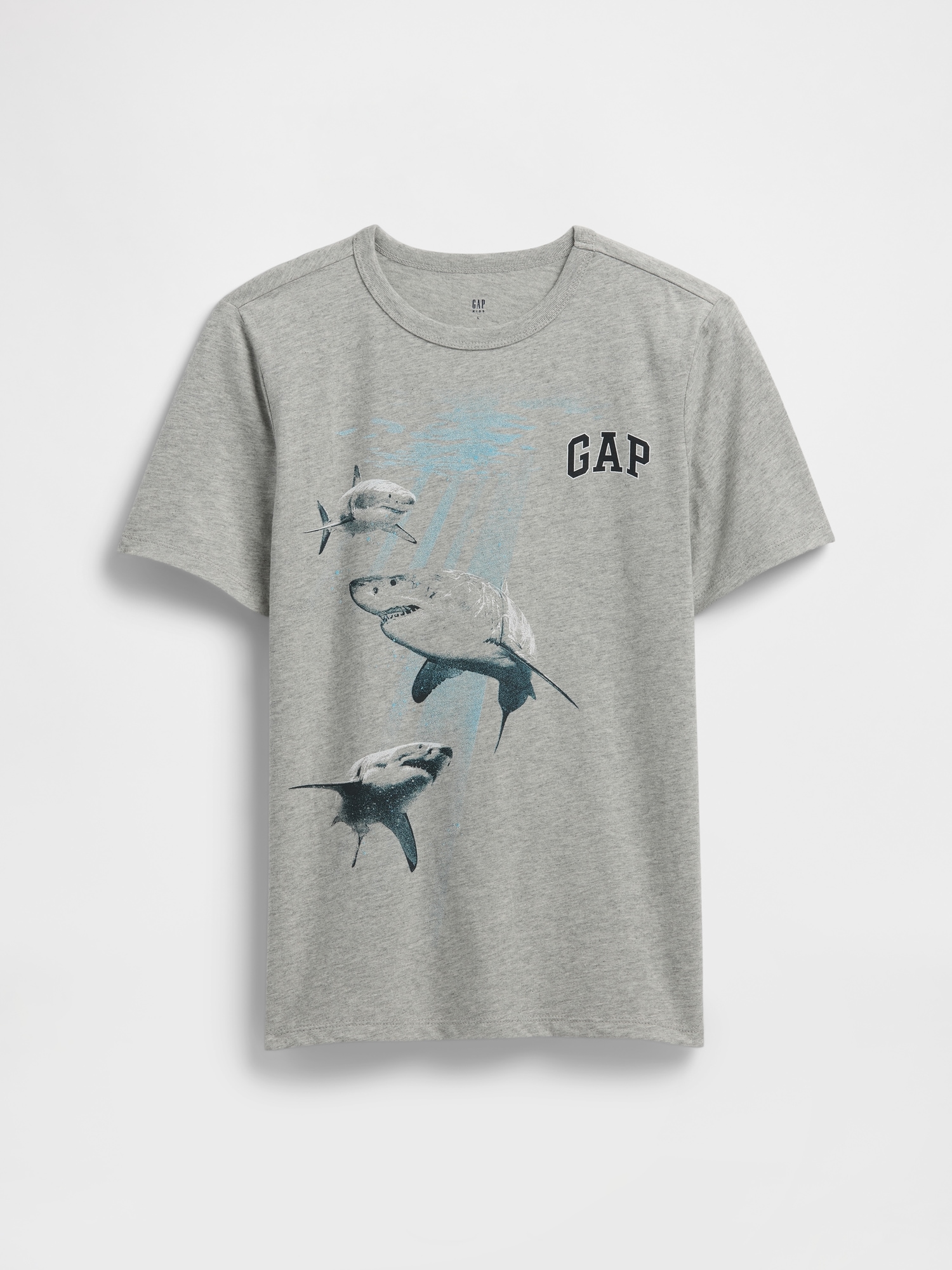 GAP Children's T-shirt - Boys