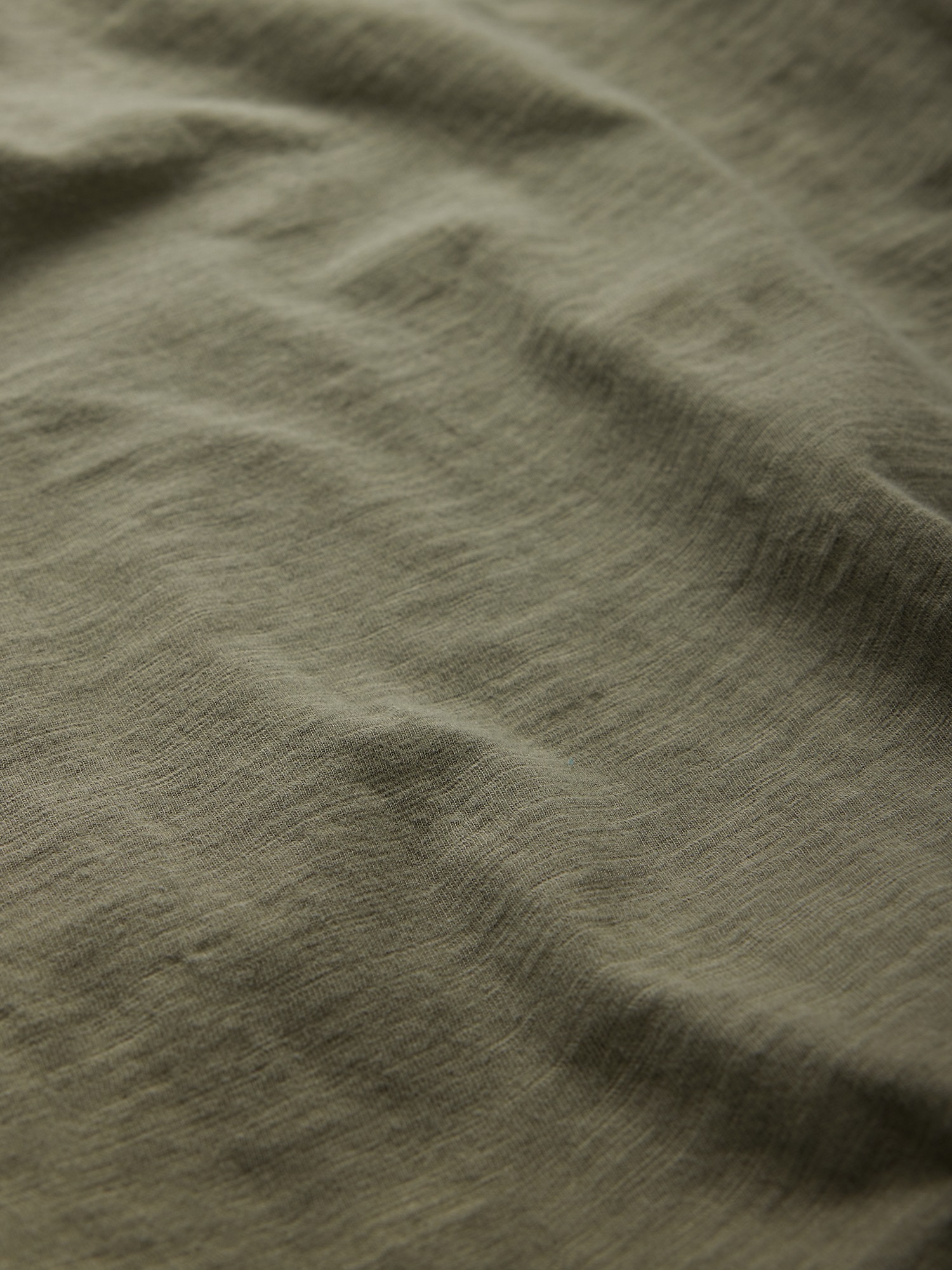 GAP Cotton T-shirt - Men&#039;s