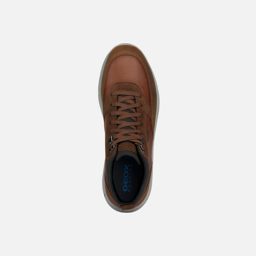 Brown men&#039;s ankle shoes Geox Spherica 4x4 B Abx - Men&#039;s