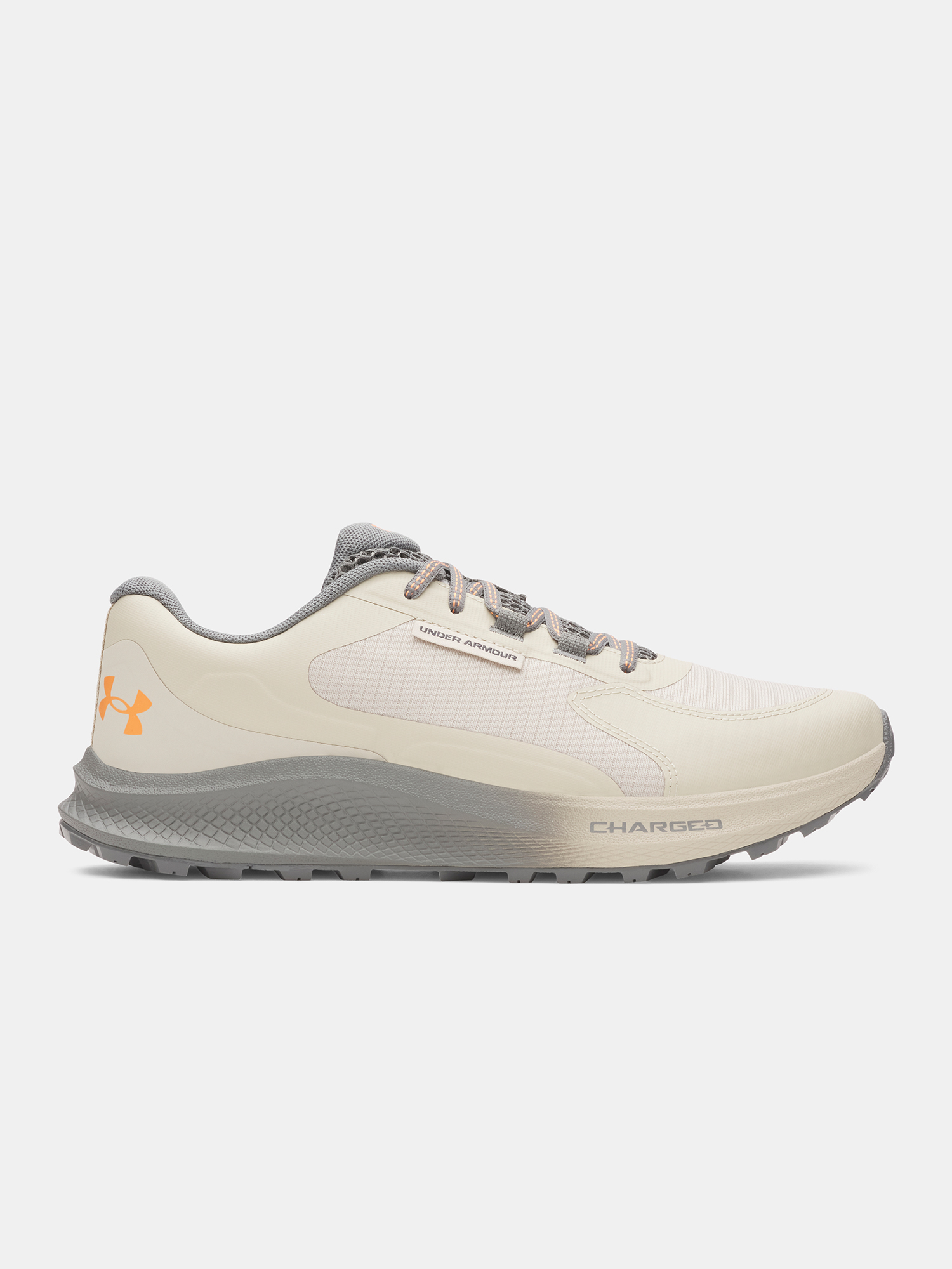 Under Armour pentru bărbați pantofi – clasici și moderni