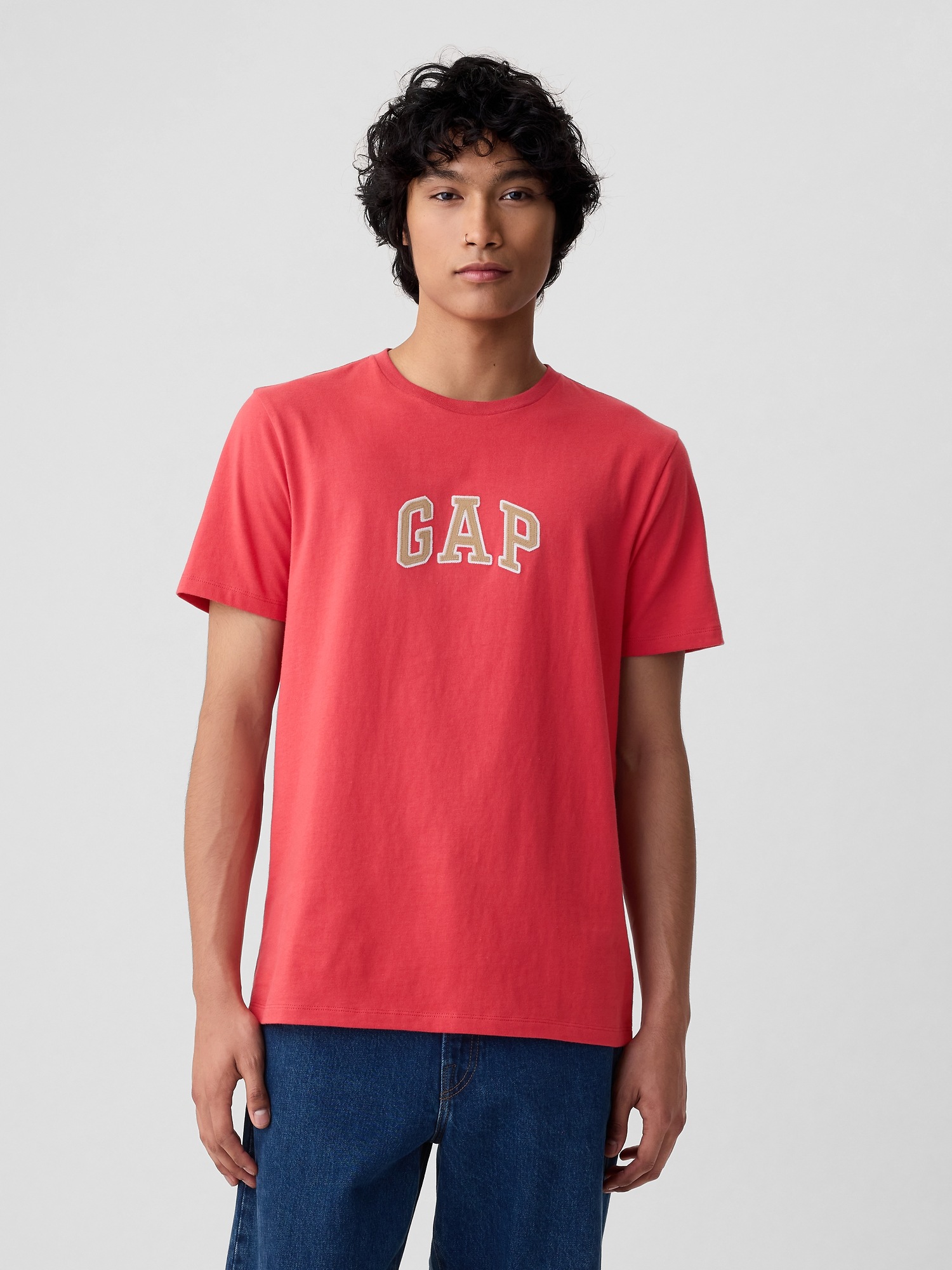 GAP Tričko Intl New Arch T - Pánské