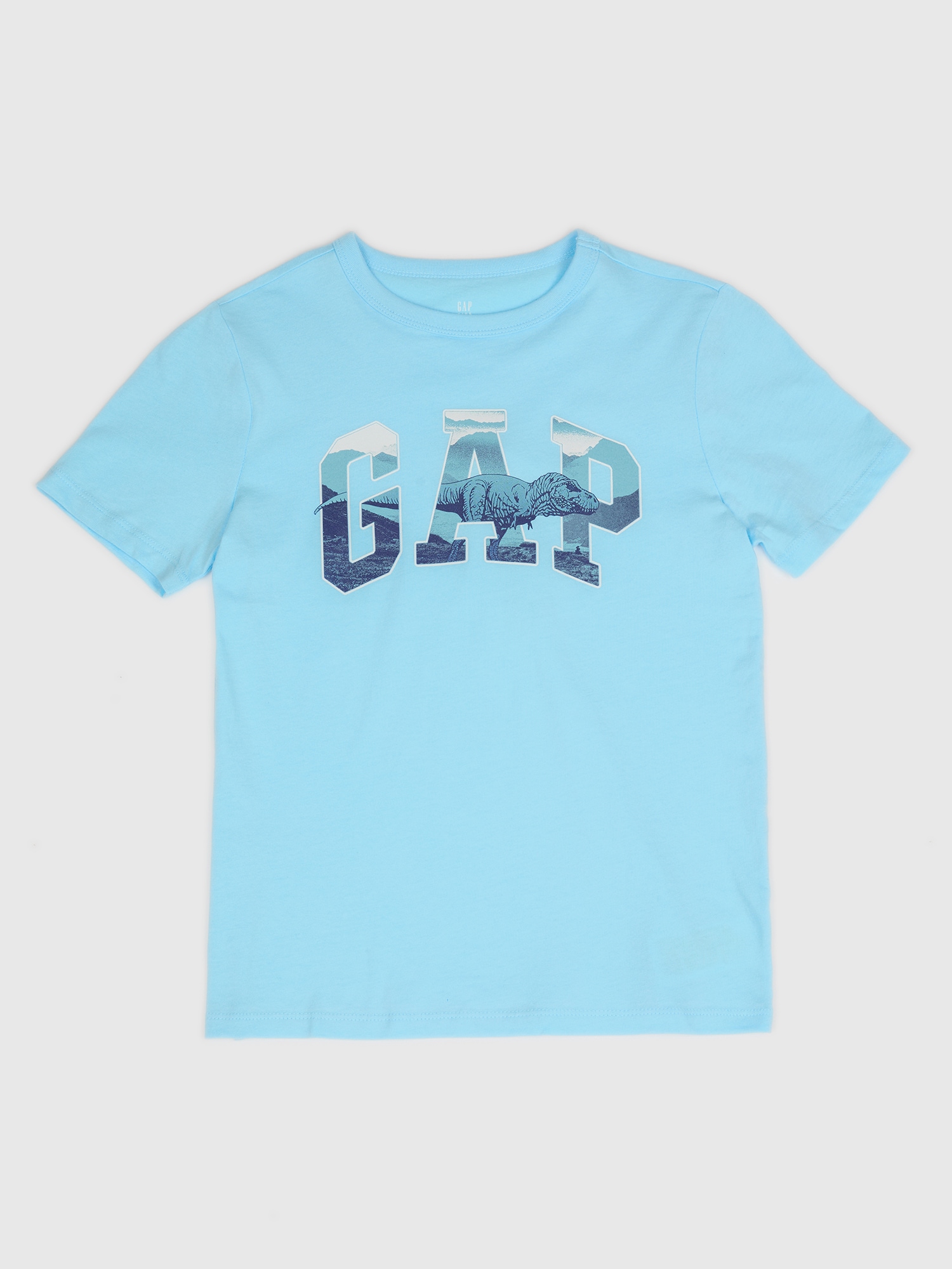 GAP Children's T-shirt - Boys