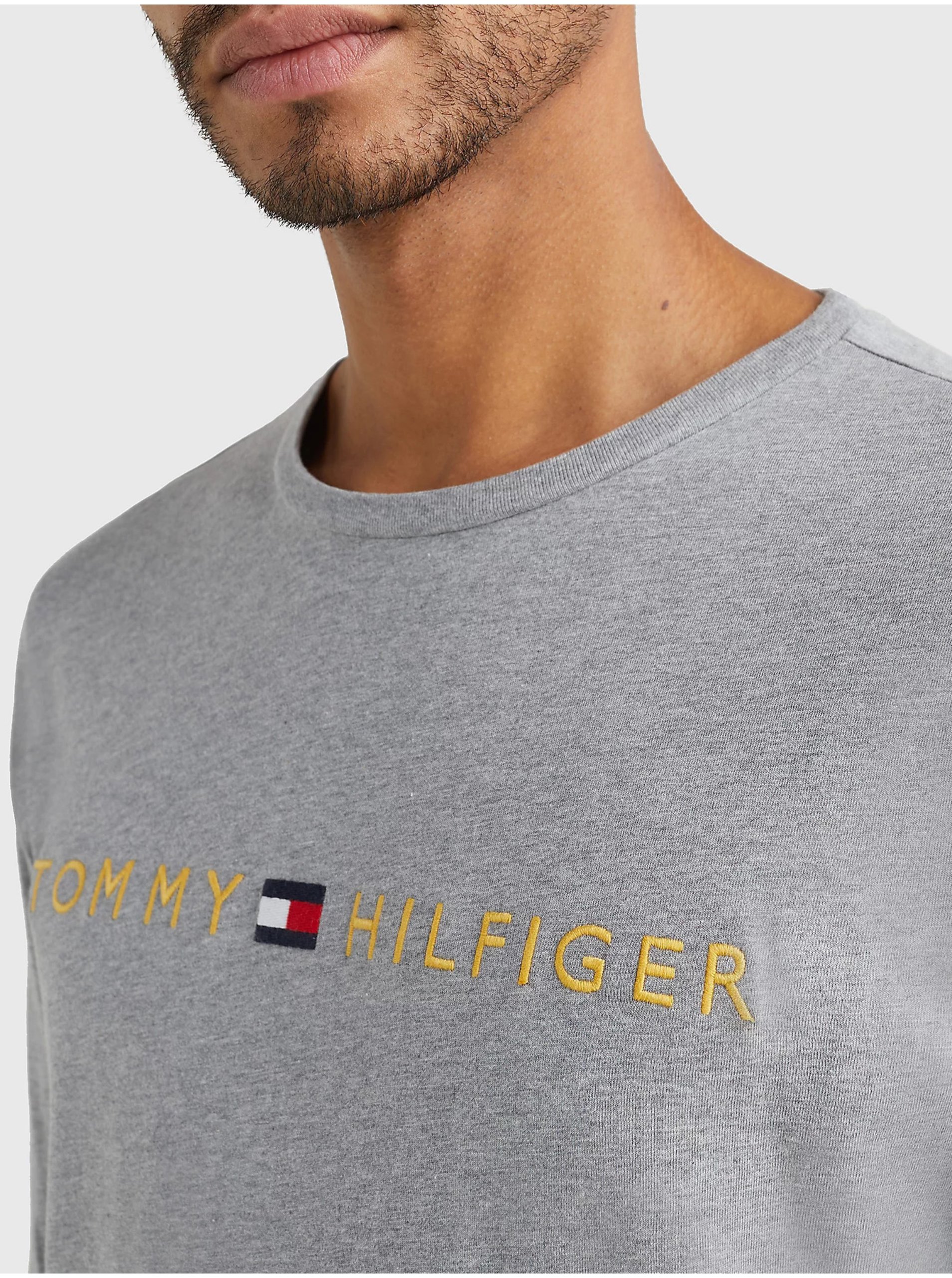 Tricou barbati, Tommy Hilfiger DP-3468520