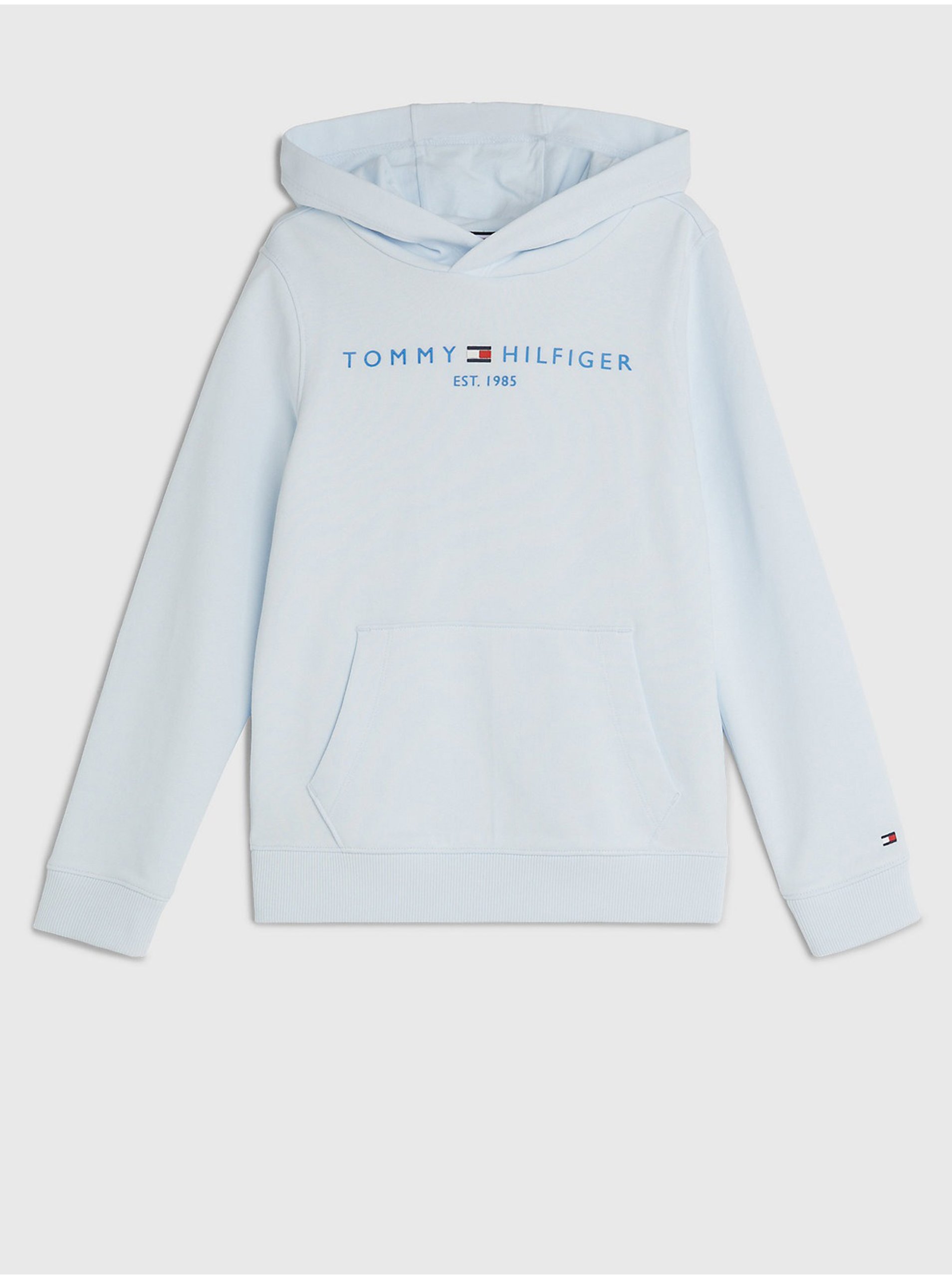 Light Blue Boys' Hoodie Tommy Hilfiger - Boys