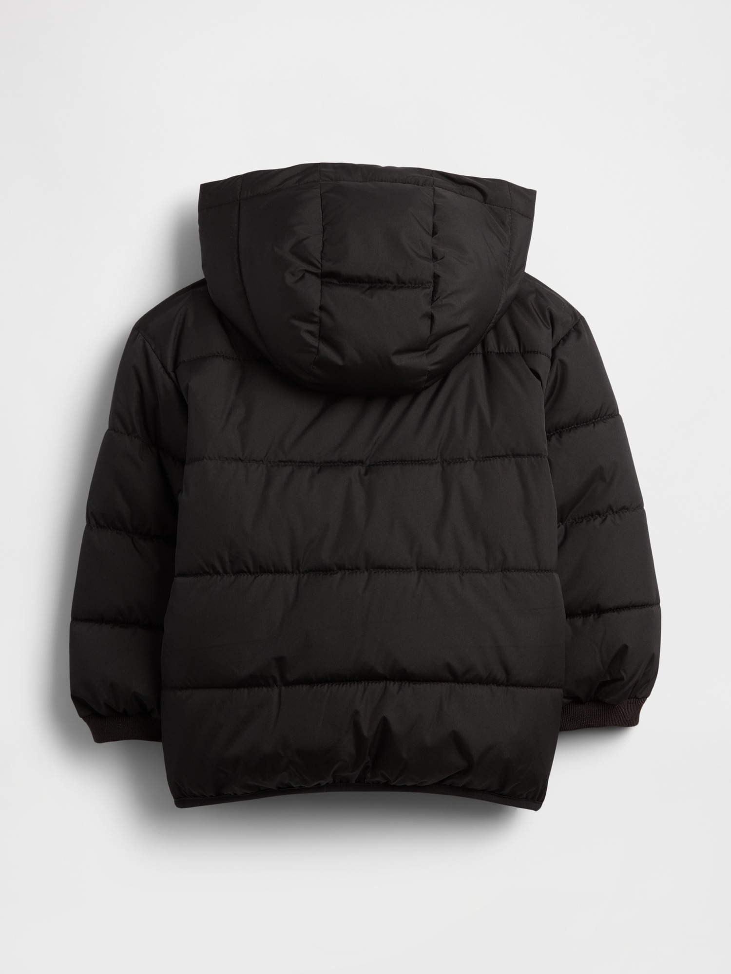 GAP Baby Quilted Waterproof Jacket - Boys