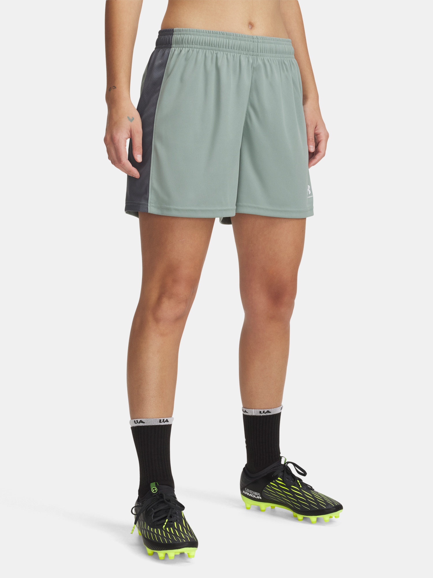 Dámské kraťasy Under Armour UA W's Ch. Knit Short - Dámské