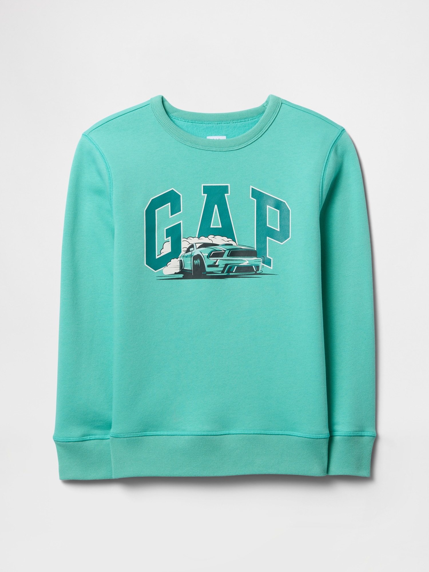 GAP Childrens Sweatshirt with Logo - Boys