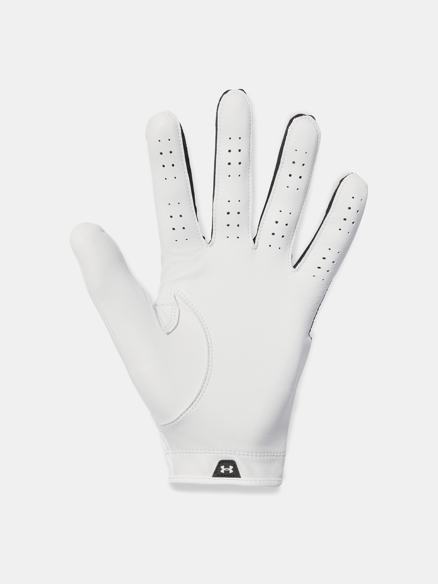 Men's gloves Under Armour Glide Iso-Chill Pro - Men's