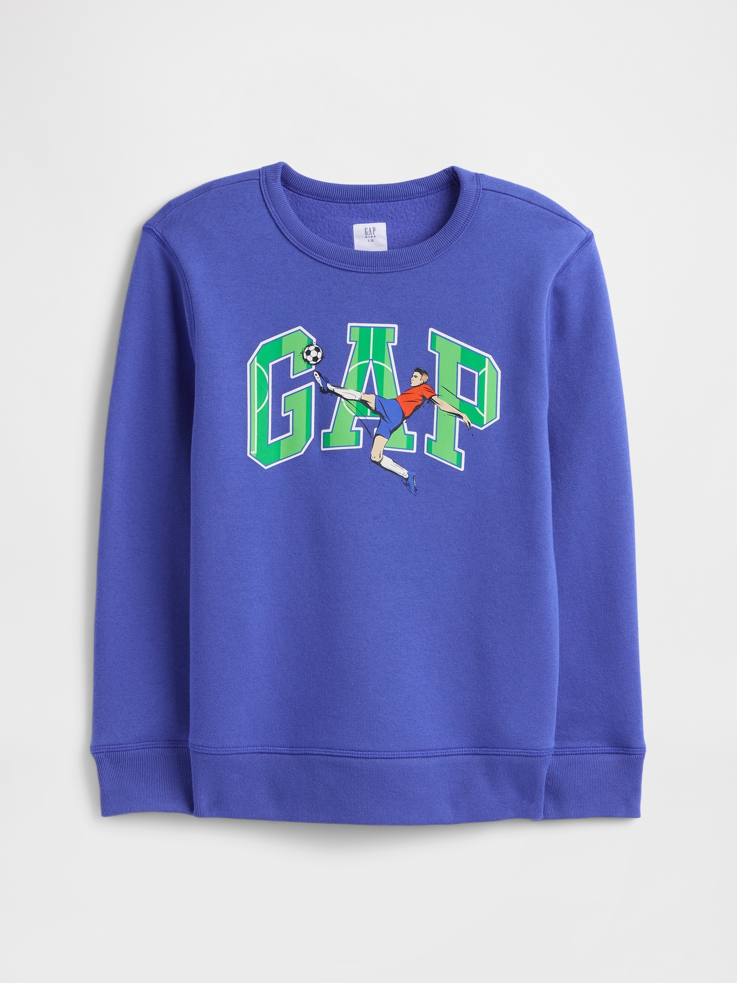 GAP Childrens Sweatshirt with Logo - Boys
