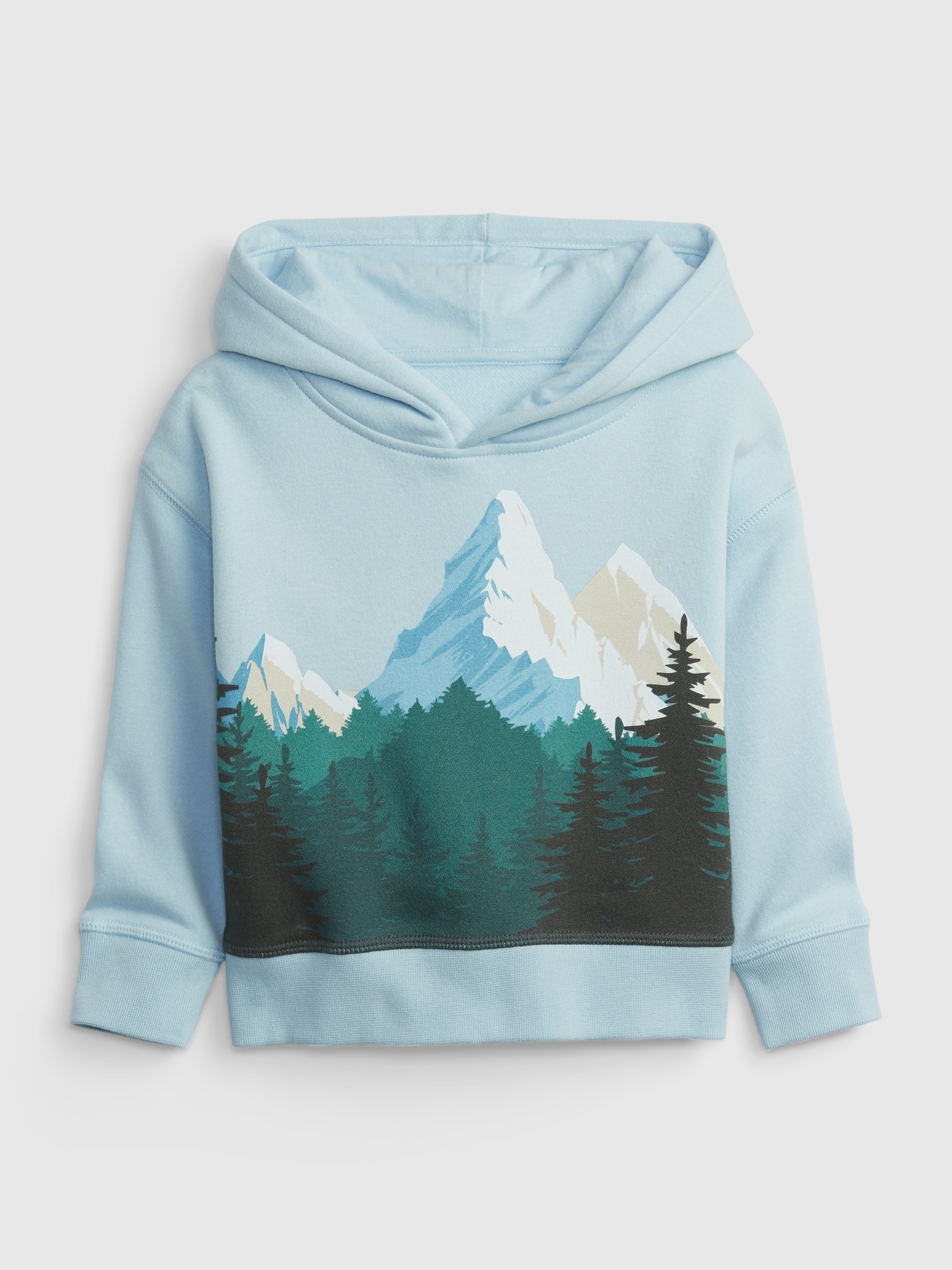 GAP Kids Sweatshirt Mountain - Boys