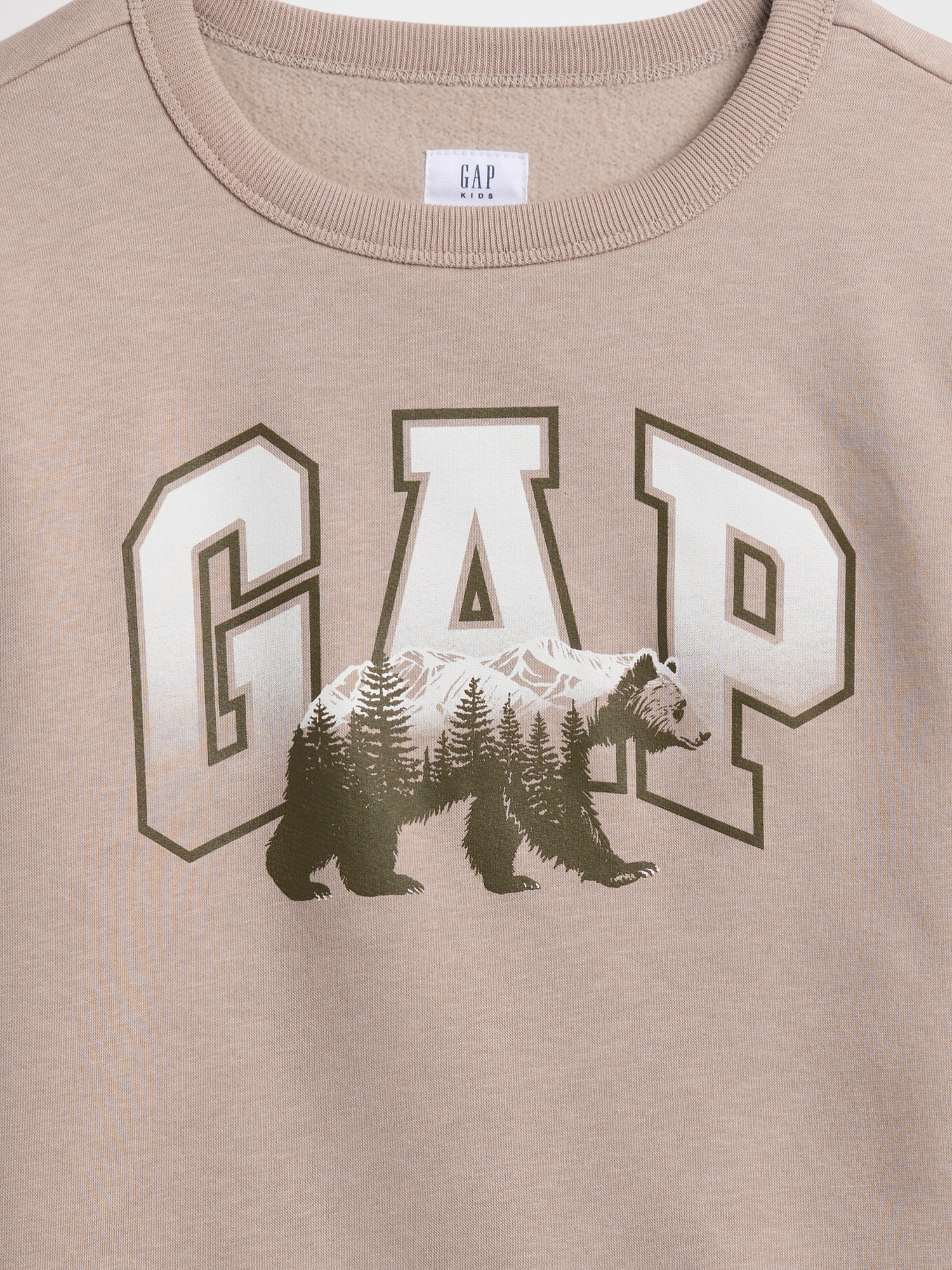GAP Children&#039;s Sweatshirt with Logo - Boys