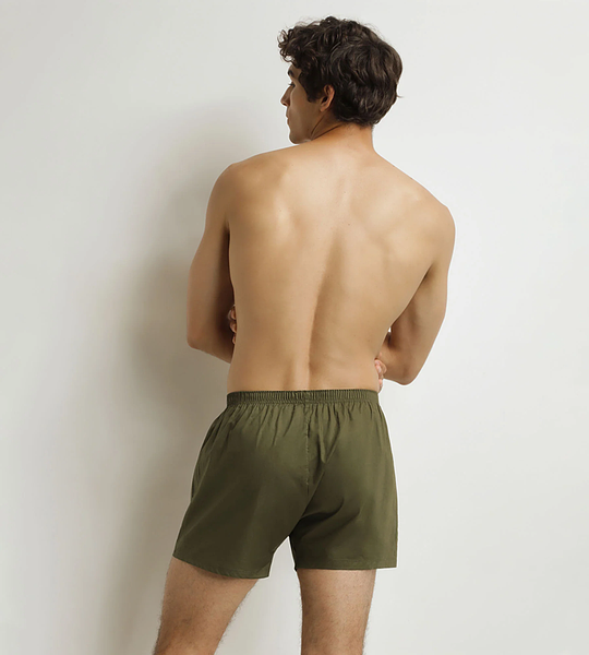 DIM COTTON STRETCH LOOSE BOXER 2x - Men's loose boxer shorts 2 pcs - grey - green