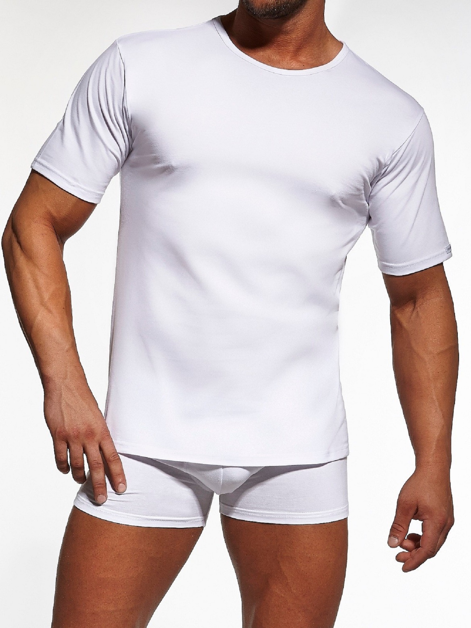 Levně T-shirt Cornette 202 New 4XL-5XL white 000