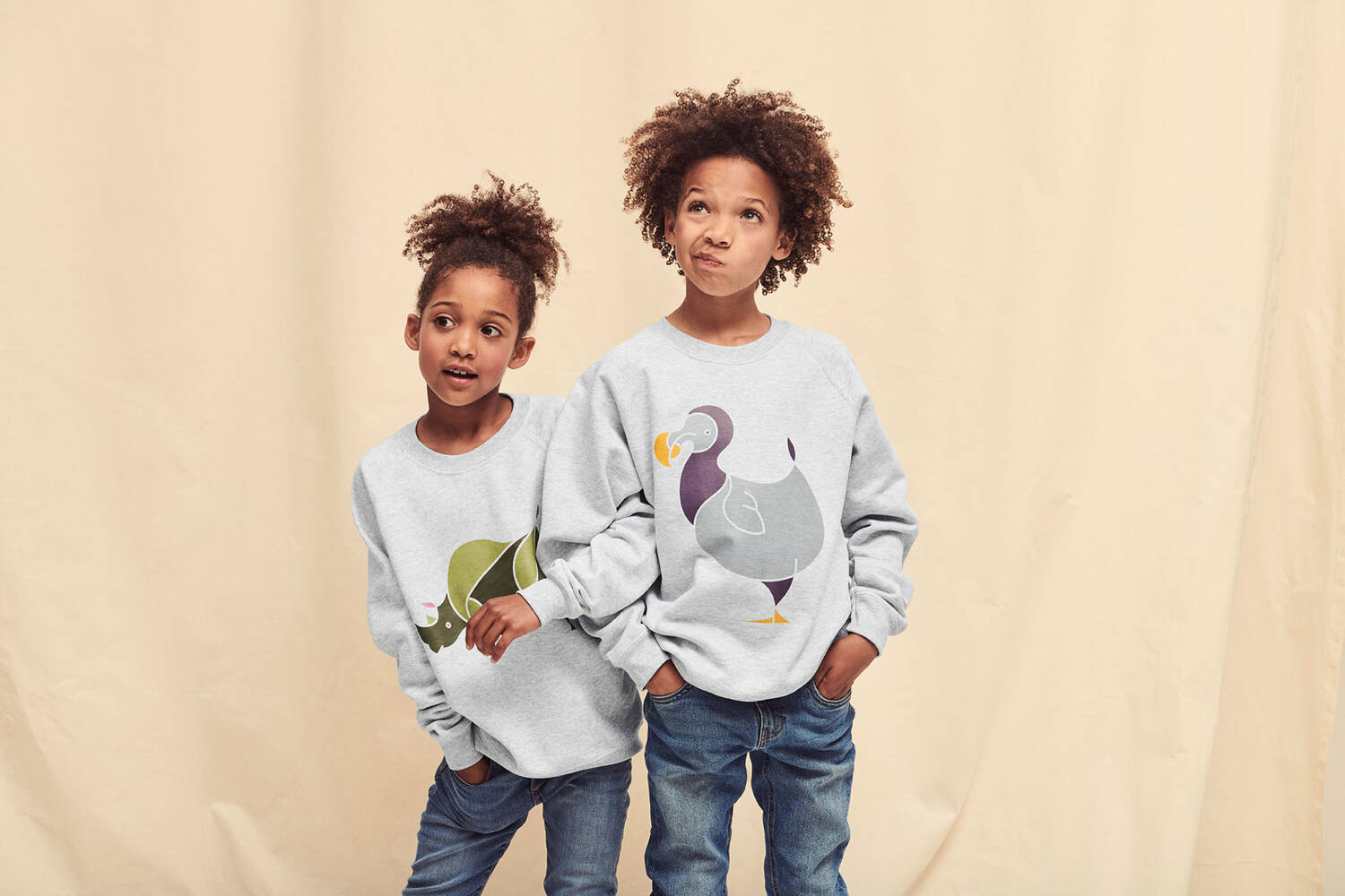 Light grey Raglan Sweat Fruit of the Loom