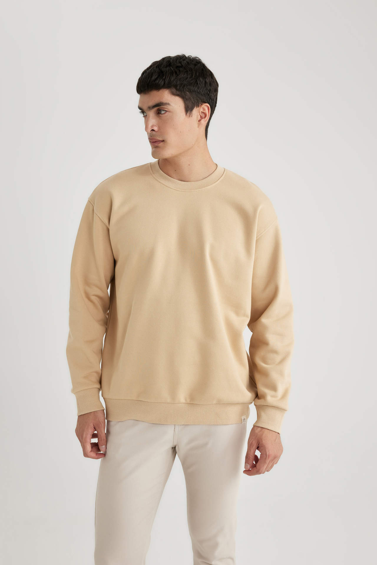 DEFACTO Oversize Fit Sweatshirt