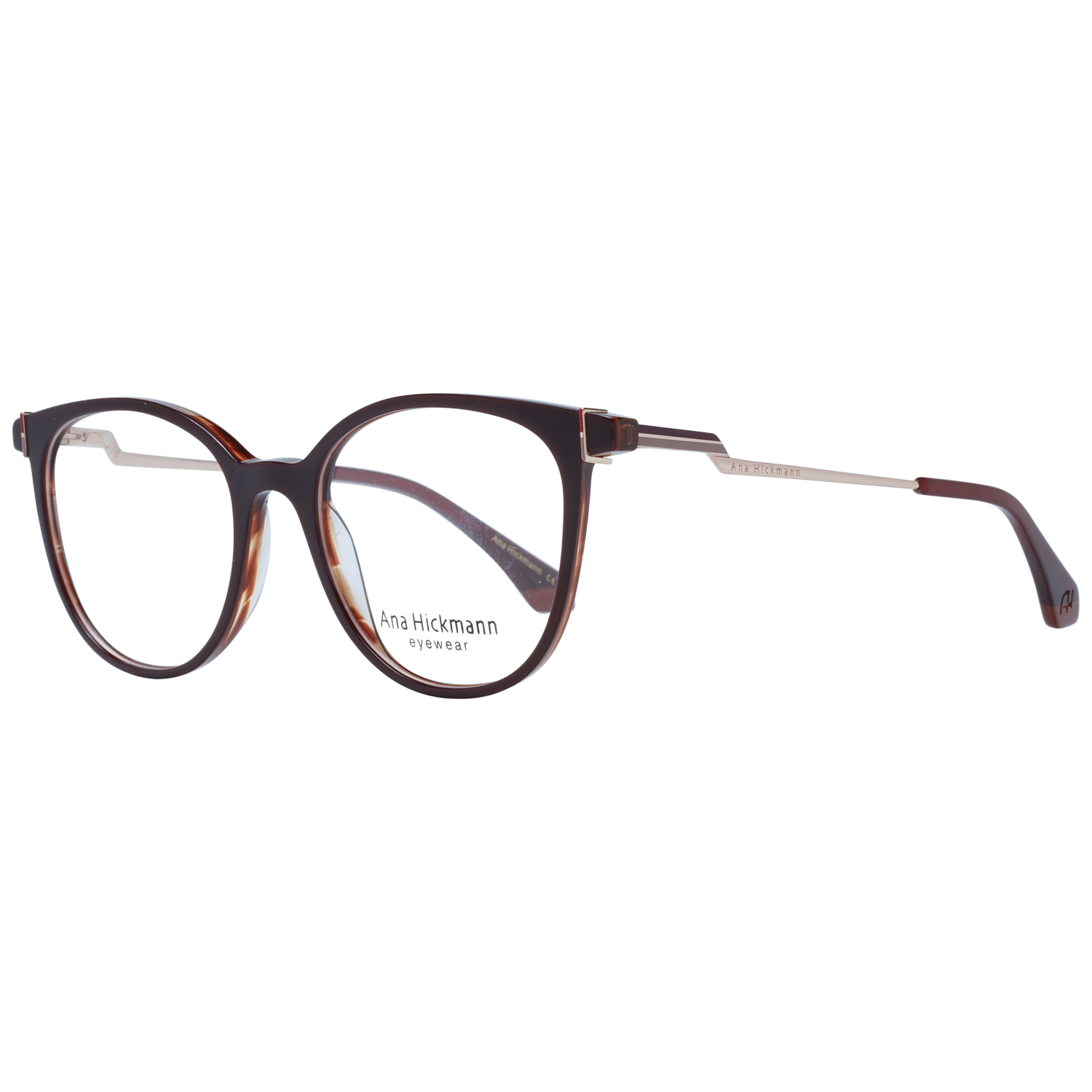 Ana Hickmann Optical Frame