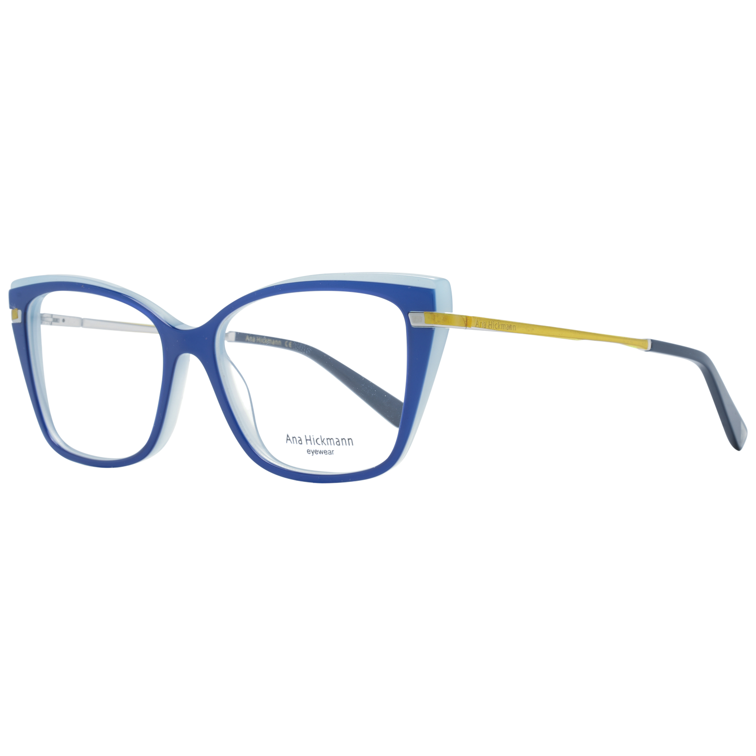 Ana Hickmann Optical Frame