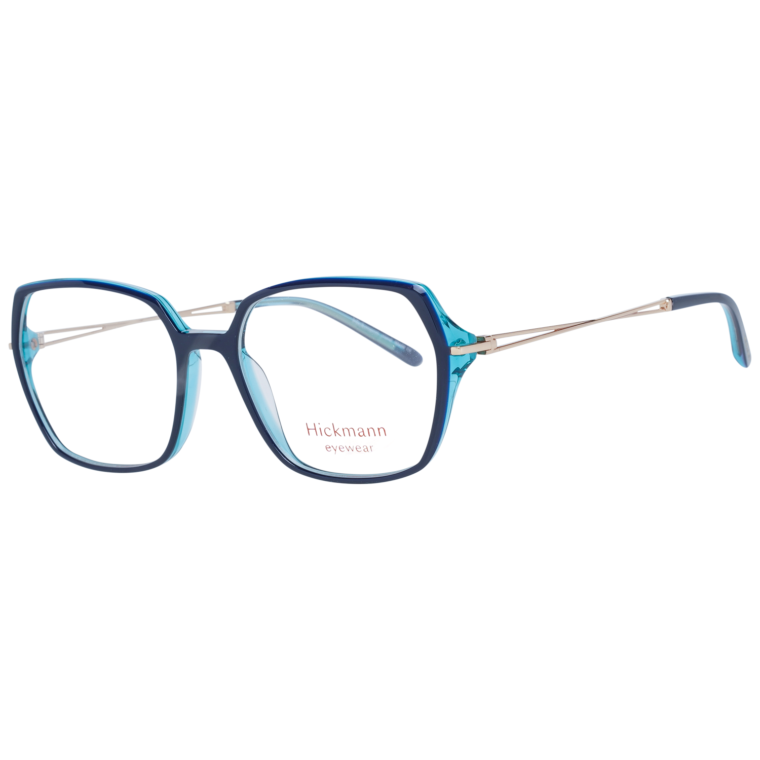 Ana Hickmann Optical Frame