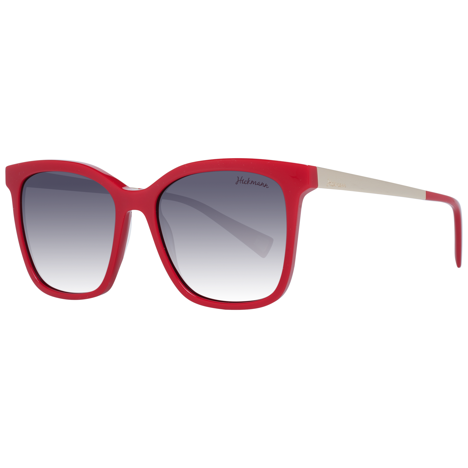 Ana Hickmann Sunglasses