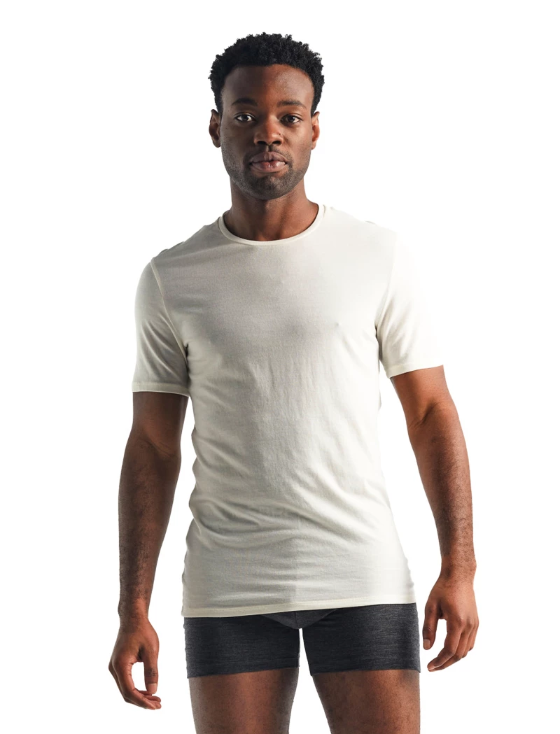 Men's T-shirt Icebreaker Anatomica SS Crewe White