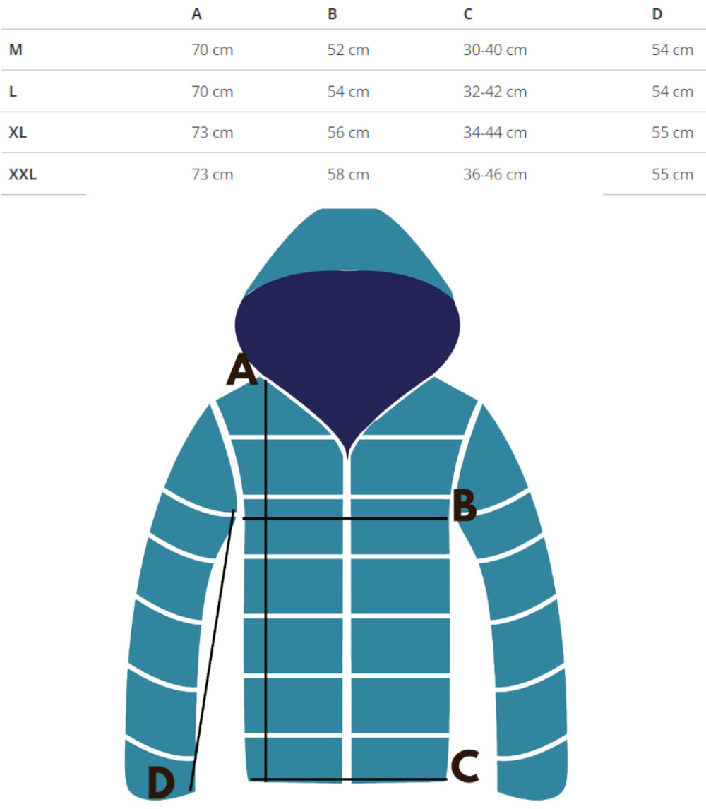 Pri Men's warm sweatshirt with a hood, plain, one-color