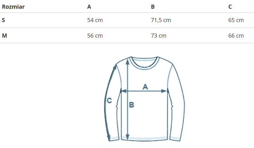 REEBOK pánske tričko CL SKATELS