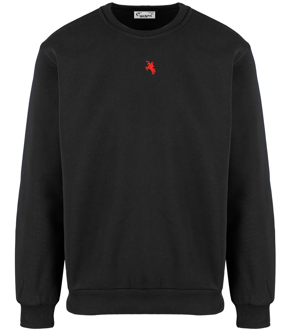 Pri Men's warm sweatshirt with ozodbone embroidery