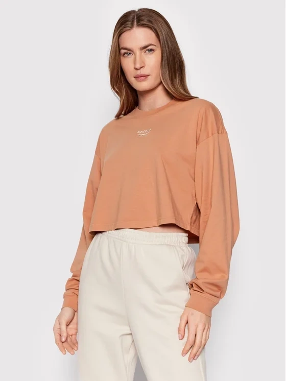 Reebok - Pánske dlhý rukáv CL WDE